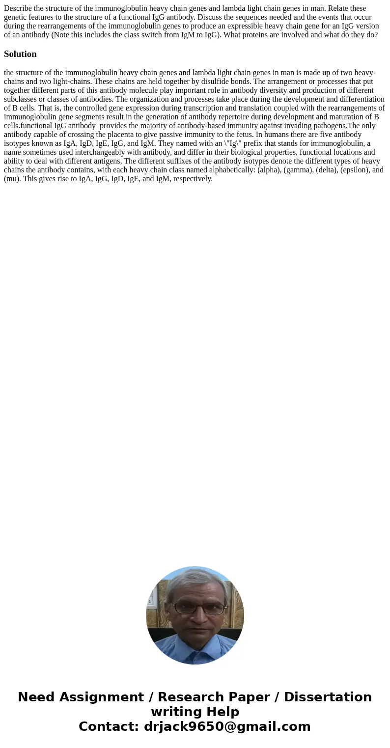 Describe the structure of the immunoglobulin heavy chain genes and lambda light chain genes in man. Relate these genetic features to the structure of a function Describe the structure of the immunoglobulin heavy chain genes and lambda light chain genes in man. Relate these genetic features to the structure of a function