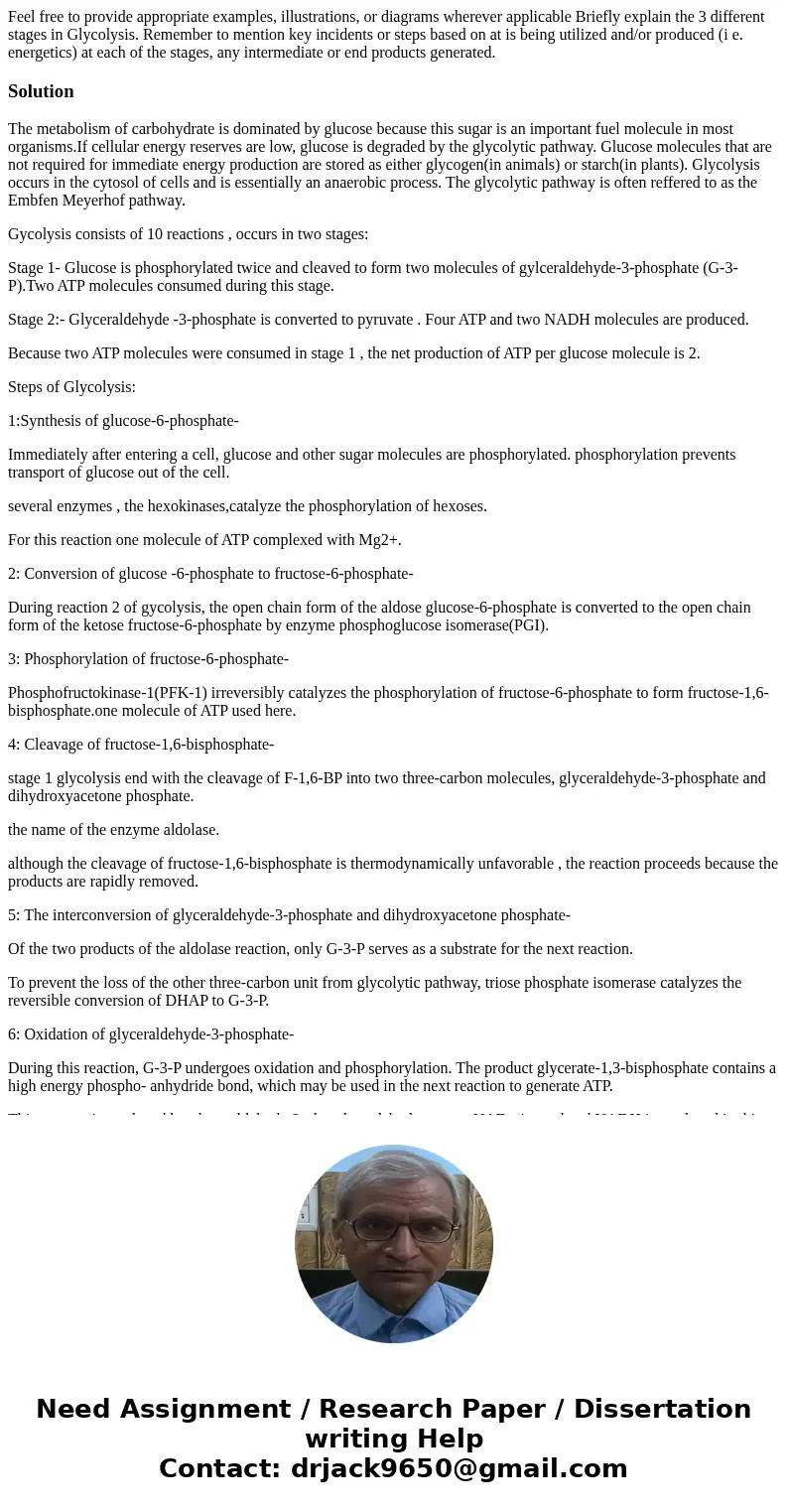 Feel free to provide appropriate examples, illustrations, or diagrams wherever applicable Briefly explain the 3 different stages in Glycolysis. Remember to men  Feel free to provide appropriate examples, illustrations, or diagrams wherever applicable Briefly explain the 3 different stages in Glycolysis. Remember to men