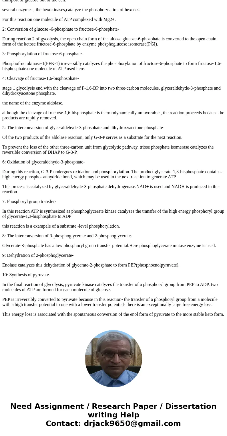 Feel free to provide appropriate examples, illustrations, or diagrams wherever applicable Briefly explain the 3 different stages in Glycolysis. Remember to men  Feel free to provide appropriate examples, illustrations, or diagrams wherever applicable Briefly explain the 3 different stages in Glycolysis. Remember to men