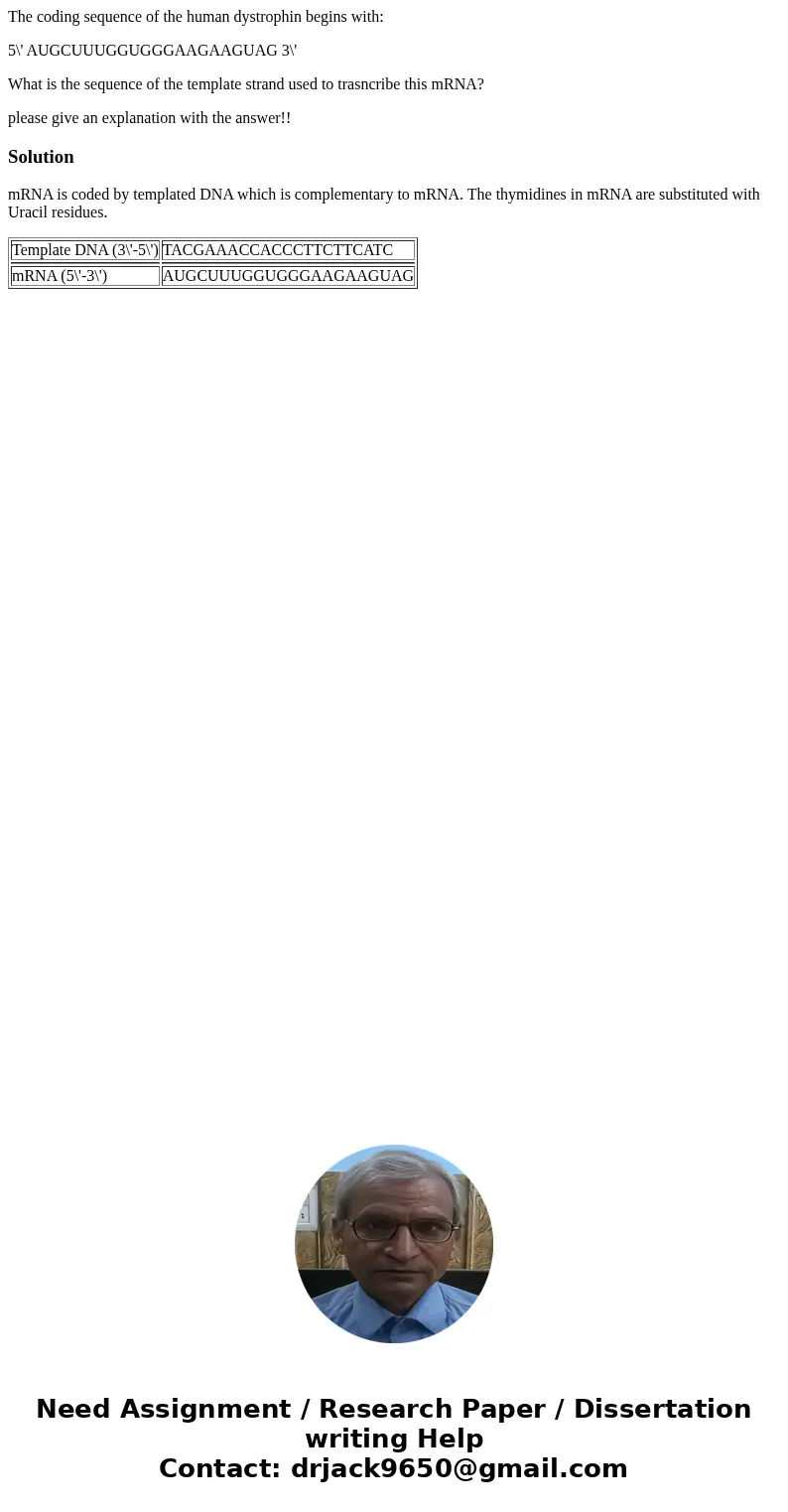 The coding sequence of the human dystrophin begins with: 5\' AUGCUUUGGUGGGAAGAAGUAG 3\' What is the sequence of the template strand used to trasncribe this mRNA The coding sequence of the human dystrophin begins with: 5\' AUGCUUUGGUGGGAAGAAGUAG 3\' What is the sequence of the template strand used to trasncribe this mRNA