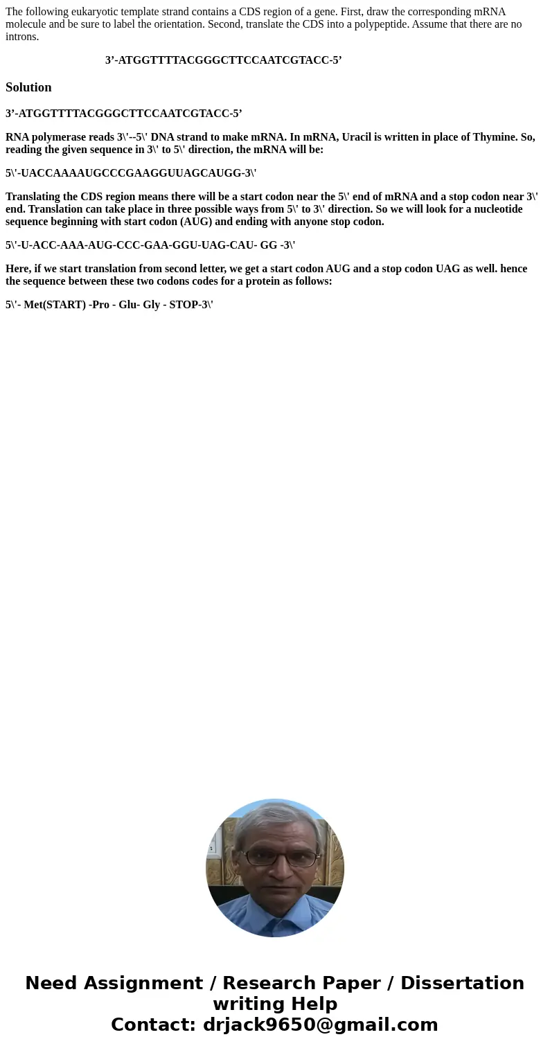 The following eukaryotic template strand contains a CDS region of a gene. First, draw the corresponding mRNA molecule and be sure to label the orientation. Seco The following eukaryotic template strand contains a CDS region of a gene. First, draw the corresponding mRNA molecule and be sure to label the orientation. Seco