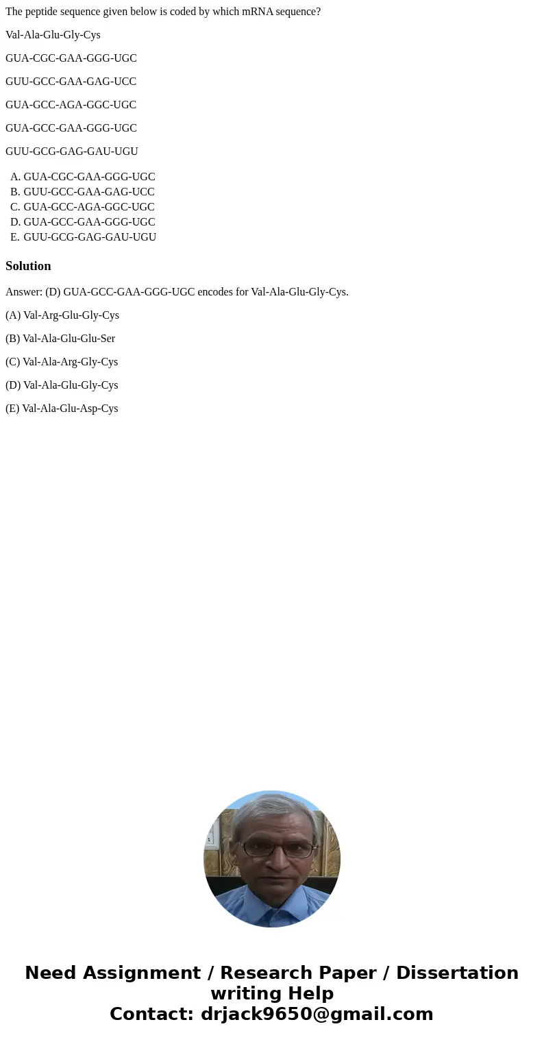 The peptide sequence given below is coded by which mRNA sequence? Val-Ala-Glu-Gly-Cys GUA-CGC-GAA-GGG-UGC GUU-GCC-GAA-GAG-UCC GUA-GCC-AGA-GGC-UGC GUA-GCC-GAA-GG The peptide sequence given below is coded by which mRNA sequence? Val-Ala-Glu-Gly-Cys GUA-CGC-GAA-GGG-UGC GUU-GCC-GAA-GAG-UCC GUA-GCC-AGA-GGC-UGC GUA-GCC-GAA-GG