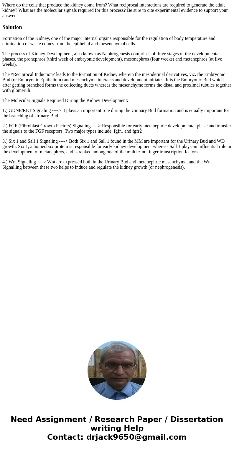 Where do the cells that produce the kidney come from? What reciprocal interactions are required to generate the adult kidney? What are the molecular signals req Where do the cells that produce the kidney come from? What reciprocal interactions are required to generate the adult kidney? What are the molecular signals req