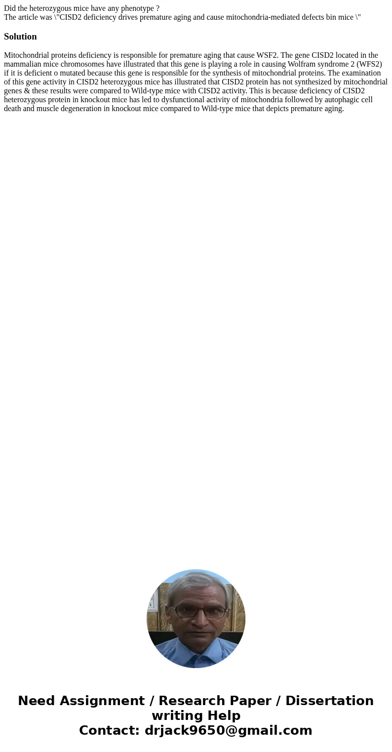 Did the heterozygous mice have any phenotype ? The article was \ Did the heterozygous mice have any phenotype ? The article was \