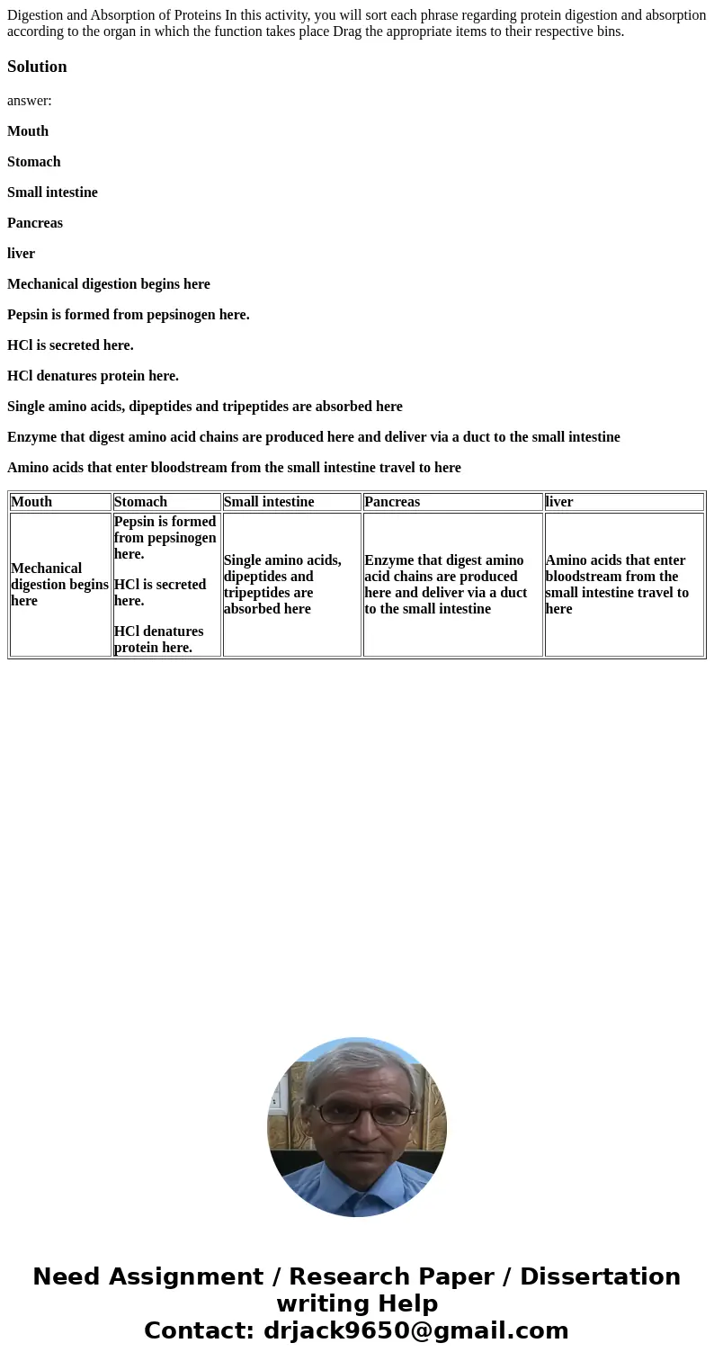Digestion and Absorption of Proteins In this activity, you will sort each phrase regarding protein digestion and absorption according to the organ in which the  Digestion and Absorption of Proteins In this activity, you will sort each phrase regarding protein digestion and absorption according to the organ in which the