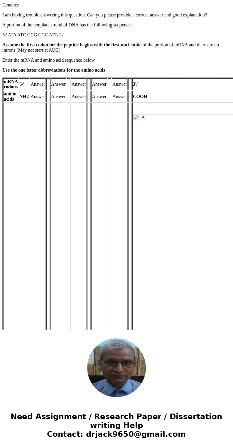 Genetics I am having trouble answering this question. Can you please provide a correct answer and good explanation? A portion of the template strand of DNA has 