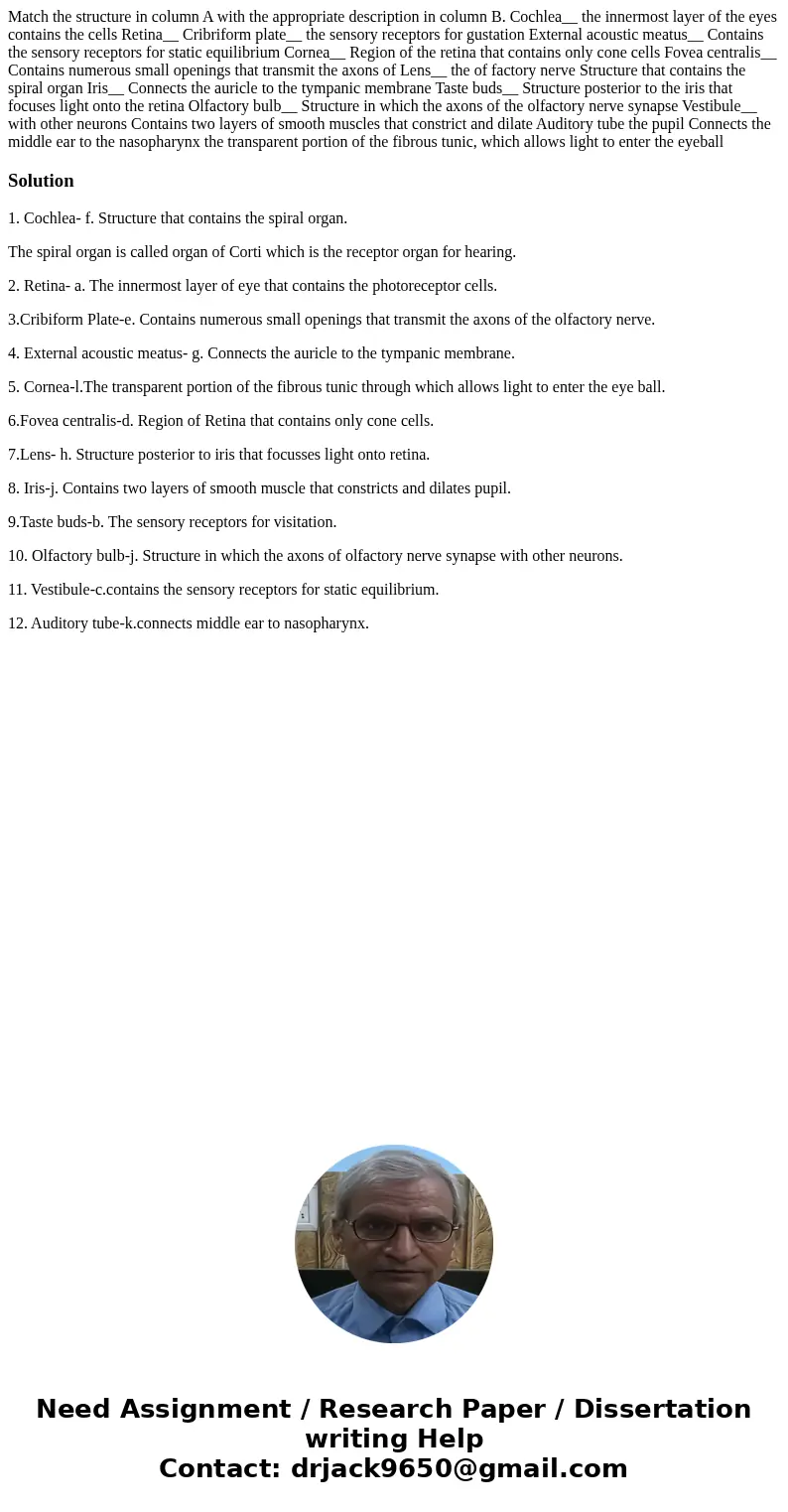 Match the structure in column A with the appropriate description in column B. Cochlea__ the innermost layer of the eyes contains the cells Retina__ Cribriform   Match the structure in column A with the appropriate description in column B. Cochlea__ the innermost layer of the eyes contains the cells Retina__ Cribriform