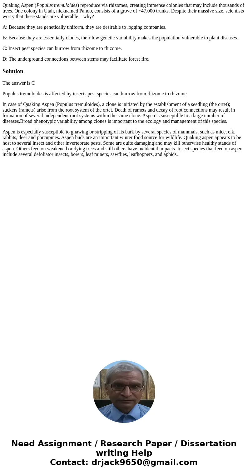 Quaking Aspen (Populus tremuloides) reproduce via rhizomes, creating immense colonies that may include thousands of trees. One colony in Utah, nicknamed Pando,  Quaking Aspen (Populus tremuloides) reproduce via rhizomes, creating immense colonies that may include thousands of trees. One colony in Utah, nicknamed Pando,