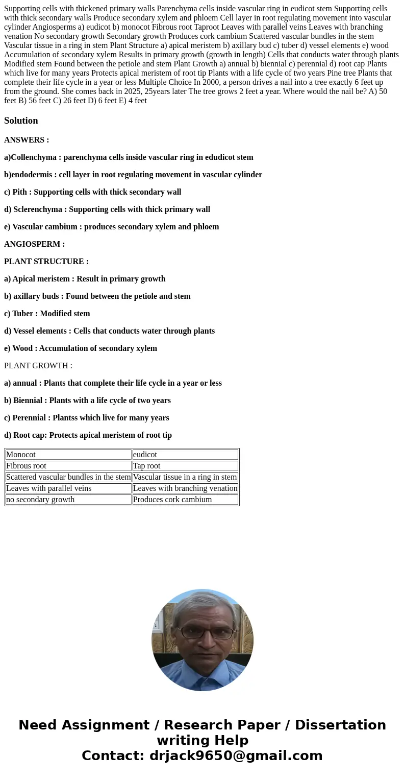  Supporting cells with thickened primary walls Parenchyma cells inside vascular ring in eudicot stem Supporting cells with thick secondary walls Produce seconda