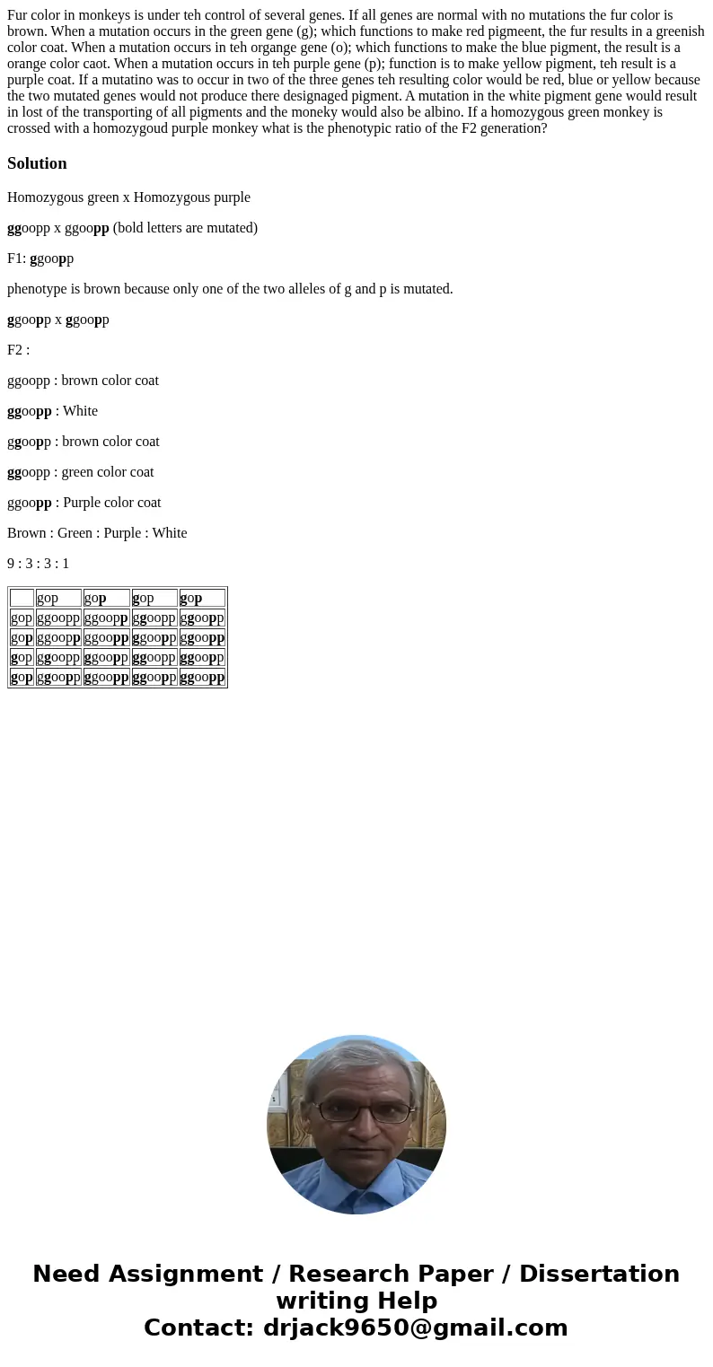Fur color in monkeys is under teh control of several genes. If all genes are normal with no mutations the fur color is brown. When a mutation occurs in the gre  Fur color in monkeys is under teh control of several genes. If all genes are normal with no mutations the fur color is brown. When a mutation occurs in the gre