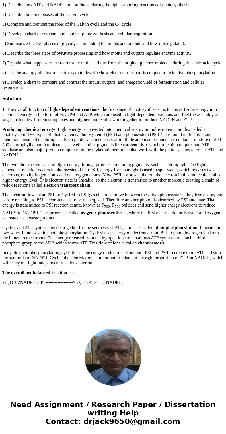 1) Describe how ATP and NADPH are produced during the light-capturing reactions of photosynthesis. 2) Describe the three phases of the Calvin cycle. 3) Compare  1) Describe how ATP and NADPH are produced during the light-capturing reactions of photosynthesis. 2) Describe the three phases of the Calvin cycle. 3) Compare