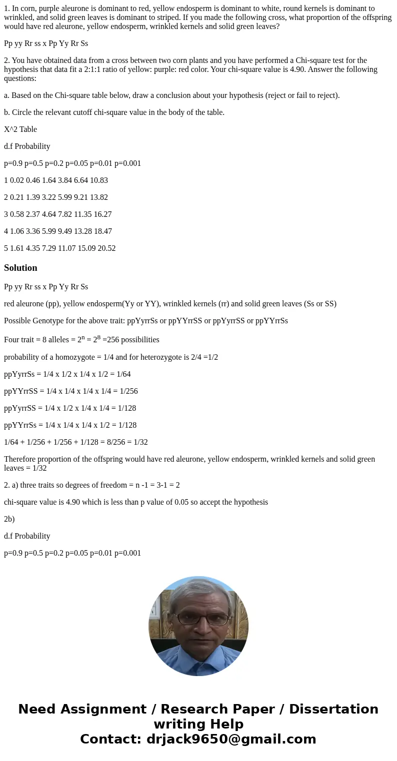1. In corn, purple aleurone is dominant to red, yellow endosperm is dominant to white, round kernels is dominant to wrinkled, and solid green leaves is dominant 1. In corn, purple aleurone is dominant to red, yellow endosperm is dominant to white, round kernels is dominant to wrinkled, and solid green leaves is dominant