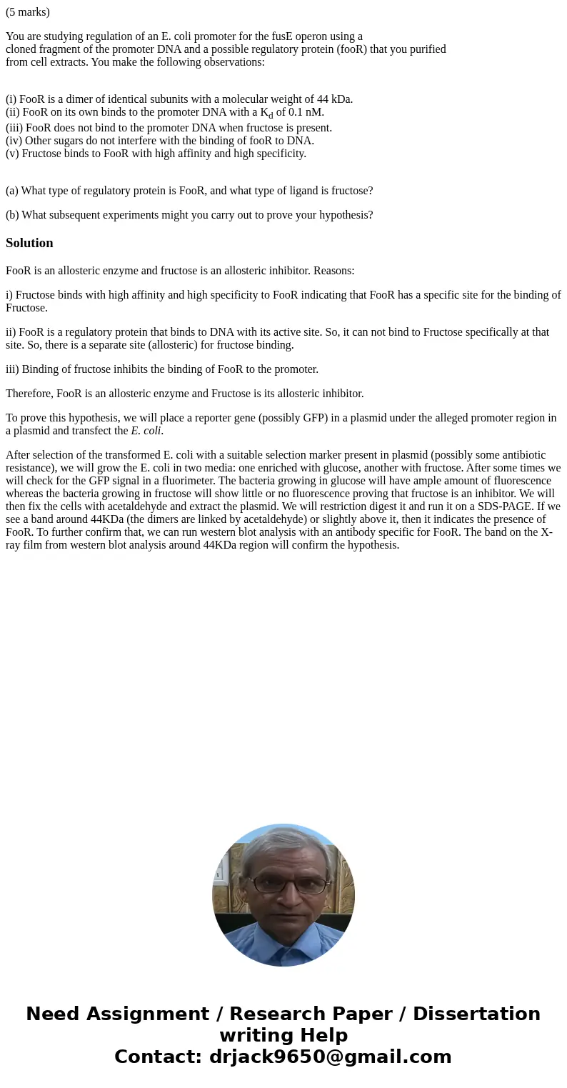 (5 marks) You are studying regulation of an E. coli promoter for the fusE operon using a cloned fragment of the promoter DNA and a possible regulatory protein ( (5 marks) You are studying regulation of an E. coli promoter for the fusE operon using a cloned fragment of the promoter DNA and a possible regulatory protein (