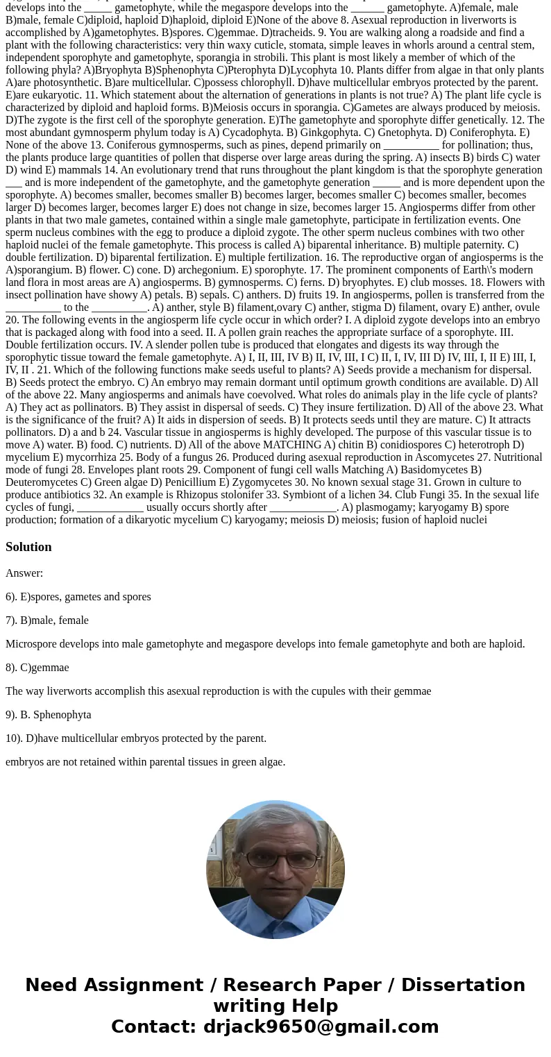 6. All plants produce __________ by mitosis and __________ by meiosis. A)spores, gametes B)gametes, gametes C)gametes, spores D)spores, spores E)spores, gametes 6. All plants produce __________ by mitosis and __________ by meiosis. A)spores, gametes B)gametes, gametes C)gametes, spores D)spores, spores E)spores, gametes