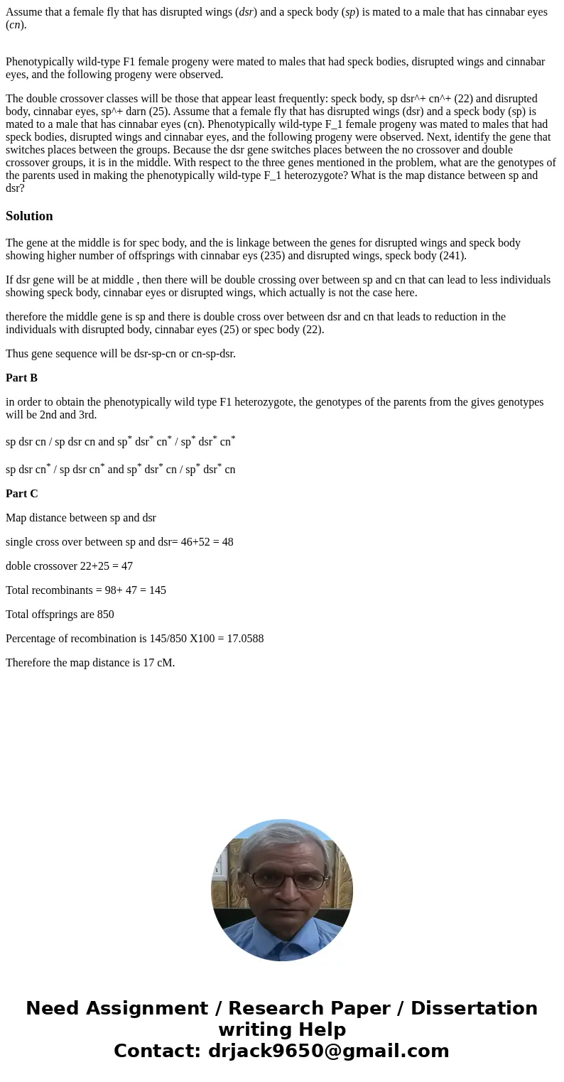 Assume that a female fly that has disrupted wings (dsr) and a speck body (sp) is mated to a male that has cinnabar eyes (cn). Phenotypically wild-type F1 female Assume that a female fly that has disrupted wings (dsr) and a speck body (sp) is mated to a male that has cinnabar eyes (cn). Phenotypically wild-type F1 female