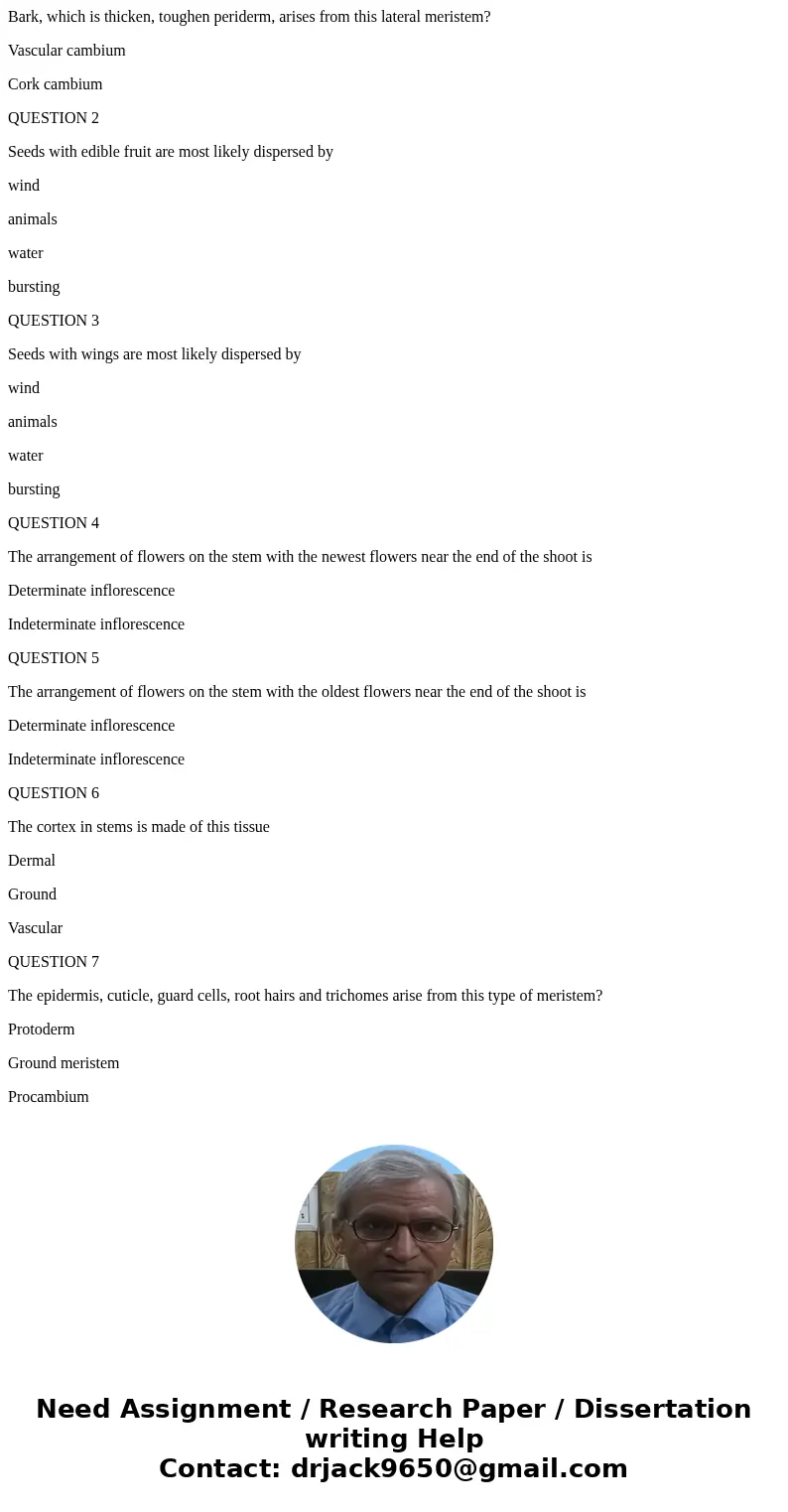 Bark, which is thicken, toughen periderm, arises from this lateral meristem? Vascular cambium Cork cambium QUESTION 2 Seeds with edible fruit are most likely di Bark, which is thicken, toughen periderm, arises from this lateral meristem? Vascular cambium Cork cambium QUESTION 2 Seeds with edible fruit are most likely di