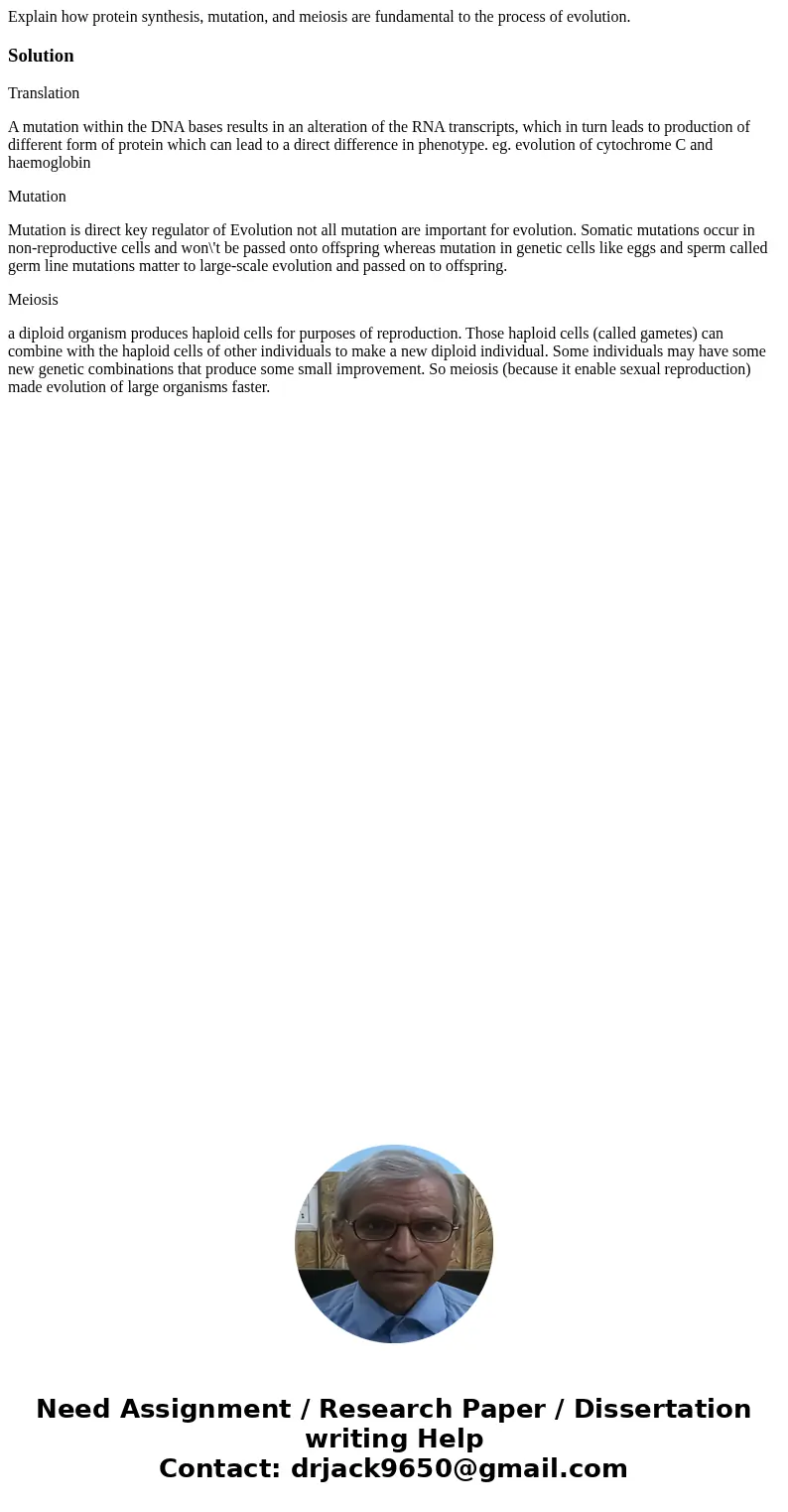 Explain how protein synthesis, mutation, and meiosis are fundamental to the process of evolution.SolutionTranslation A mutation within the DNA bases results in  Explain how protein synthesis, mutation, and meiosis are fundamental to the process of evolution.SolutionTranslation A mutation within the DNA bases results in