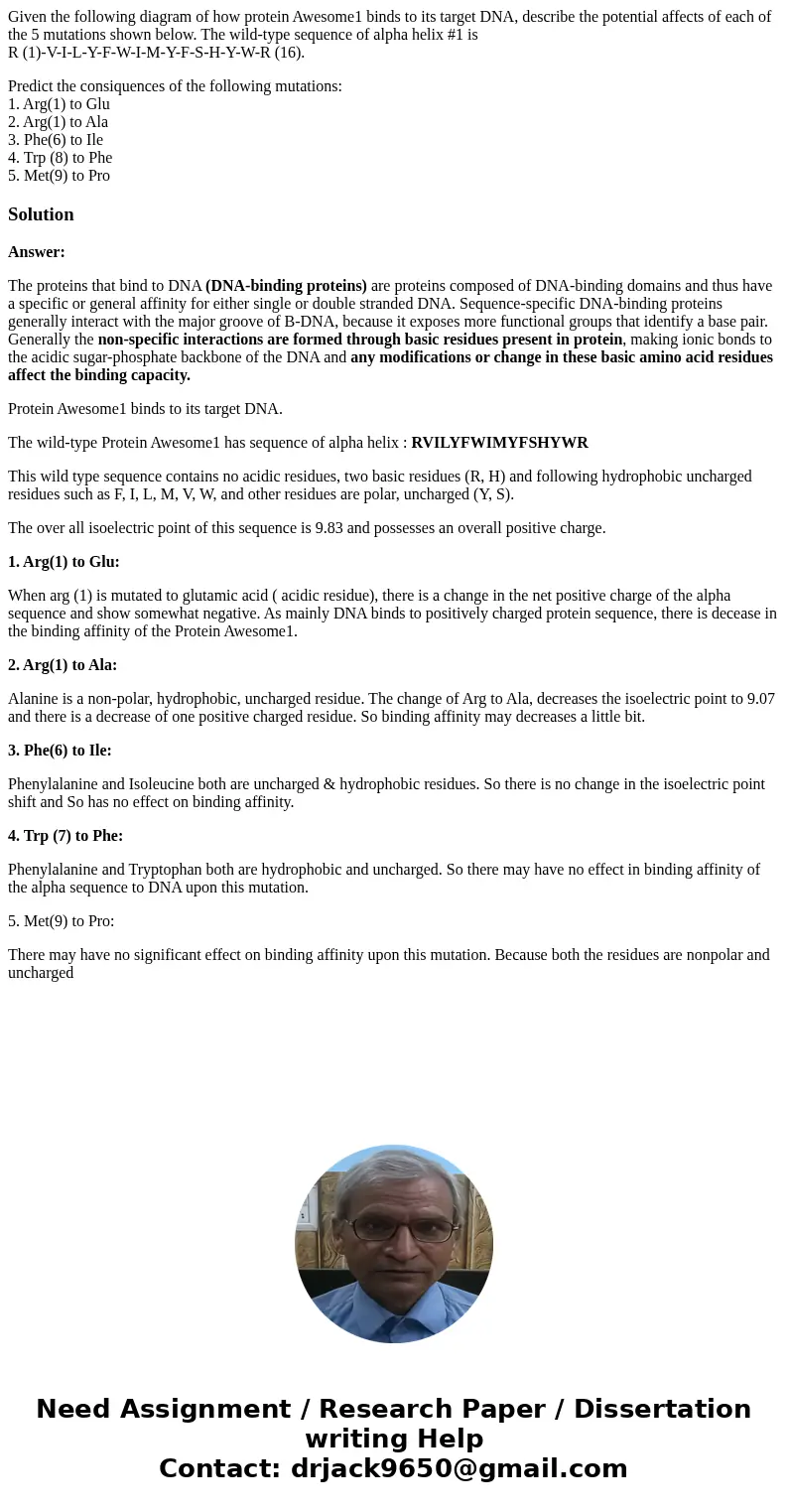 Given the following diagram of how protein Awesome1 binds to its target DNA, describe the potential affects of each of the 5 mutations shown below. The wild-typ Given the following diagram of how protein Awesome1 binds to its target DNA, describe the potential affects of each of the 5 mutations shown below. The wild-typ