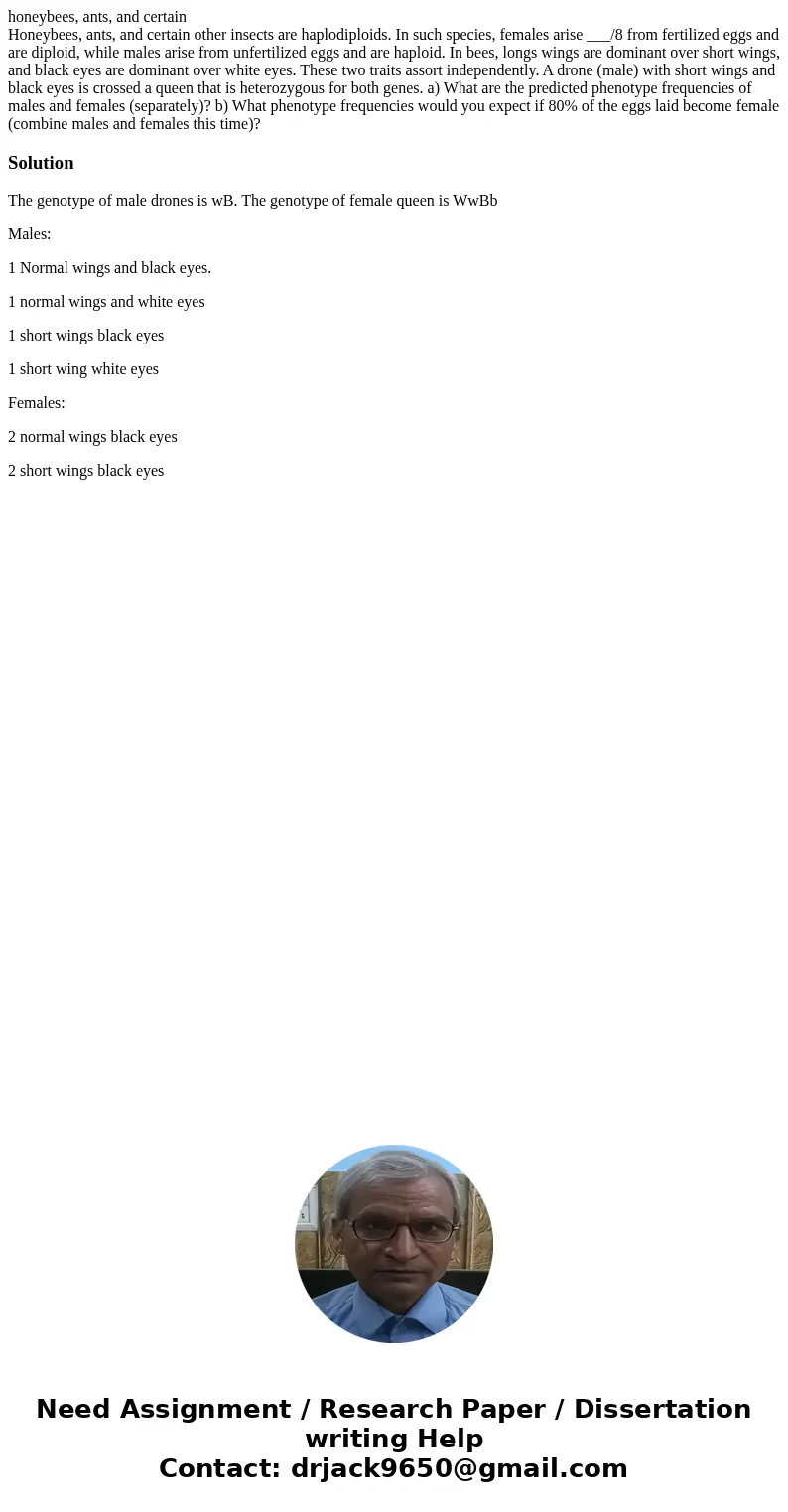 honeybees, ants, and certain Honeybees, ants, and certain other insects are haplodiploids. In such species, females arise ___/8 from fertilized eggs and are dip honeybees, ants, and certain Honeybees, ants, and certain other insects are haplodiploids. In such species, females arise ___/8 from fertilized eggs and are dip