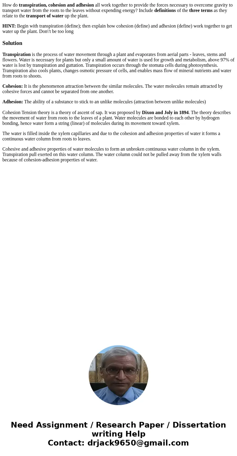 How do transpiration, cohesion and adhesion all work together to provide the forces necessary to overcome gravity to transport water from the roots to the leave