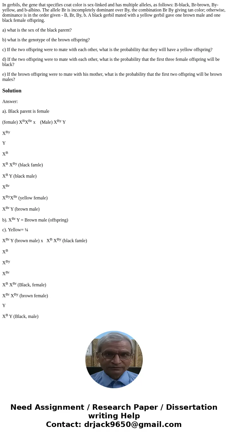 In gerbils, the gene that specifies coat color is sex-linked and has multiple alleles, as follows: B-black, Br-brown, By-yellow, and b-albino. The allele Br is  In gerbils, the gene that specifies coat color is sex-linked and has multiple alleles, as follows: B-black, Br-brown, By-yellow, and b-albino. The allele Br is