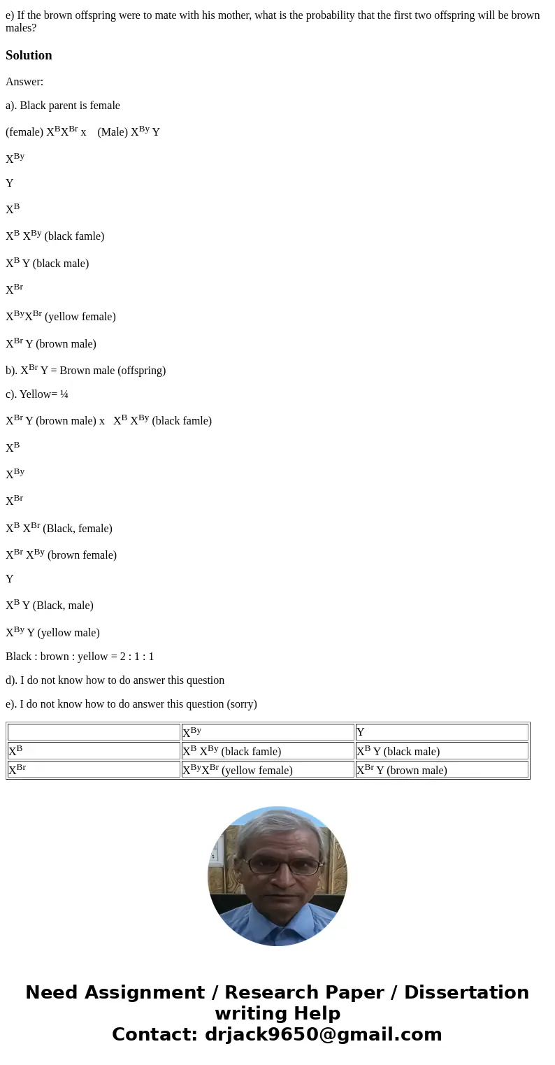 In gerbils, the gene that specifies coat color is sex-linked and has multiple alleles, as follows: B-black, Br-brown, By-yellow, and b-albino. The allele Br is  In gerbils, the gene that specifies coat color is sex-linked and has multiple alleles, as follows: B-black, Br-brown, By-yellow, and b-albino. The allele Br is