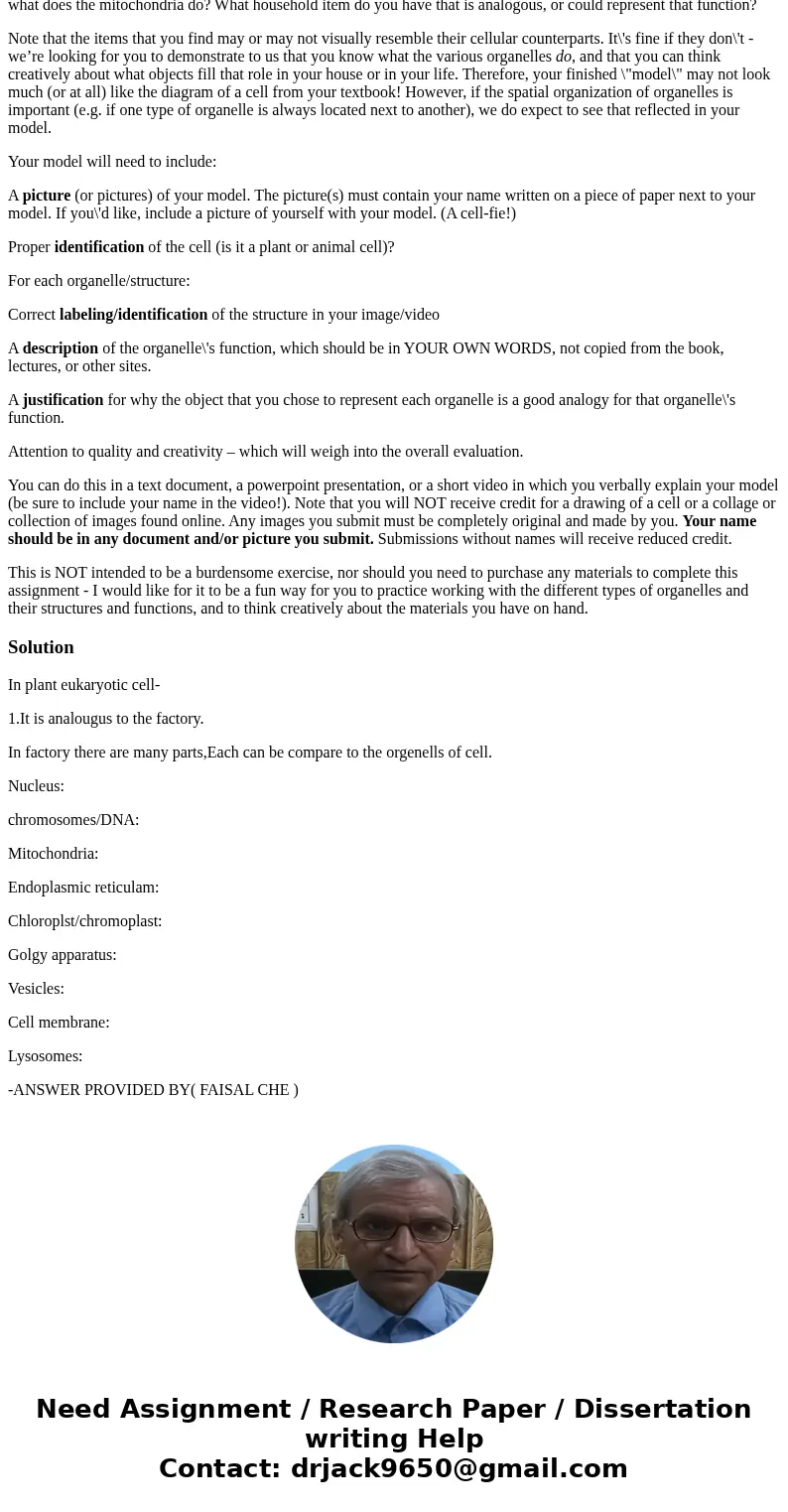 In order to understand how cells function, we often have to use analogies to everyday items or processes to explain the jobs of the various organelles. In this  In order to understand how cells function, we often have to use analogies to everyday items or processes to explain the jobs of the various organelles. In this