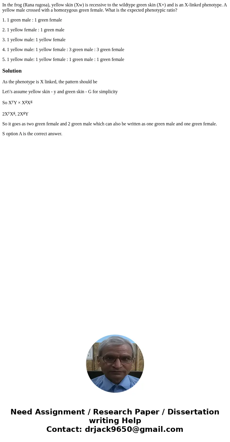 In the frog (Rana rugosa), yellow skin (Xw) is recessive to the wildtype green skin (X+) and is an X-linked phenotype. A yellow male crossed with a homozygous g