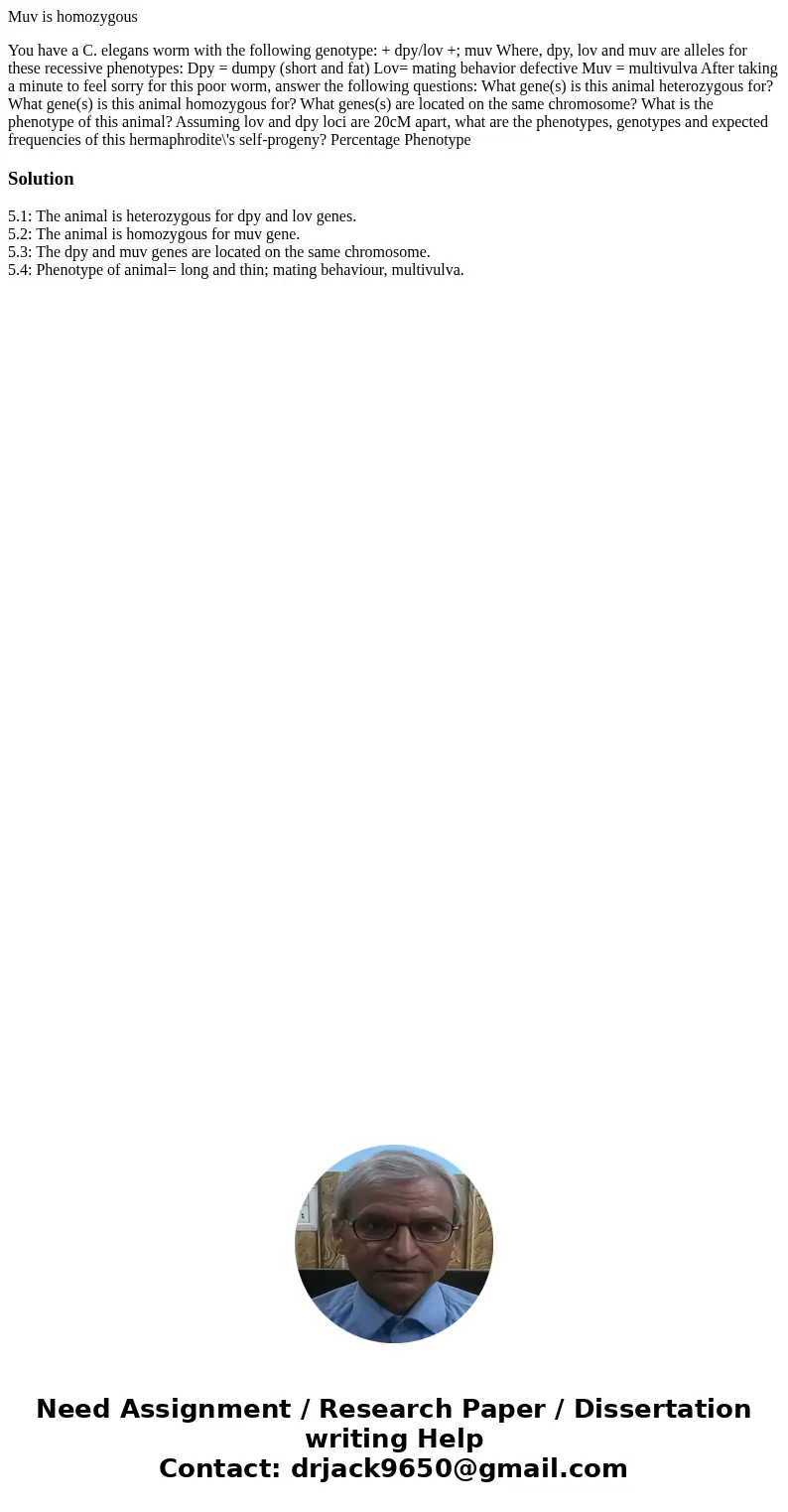 Muv is homozygous You have a C. elegans worm with the following genotype: + dpy/lov +; muv Where, dpy, lov and muv are alleles for these recessive phenotypes: D Muv is homozygous You have a C. elegans worm with the following genotype: + dpy/lov +; muv Where, dpy, lov and muv are alleles for these recessive phenotypes: D