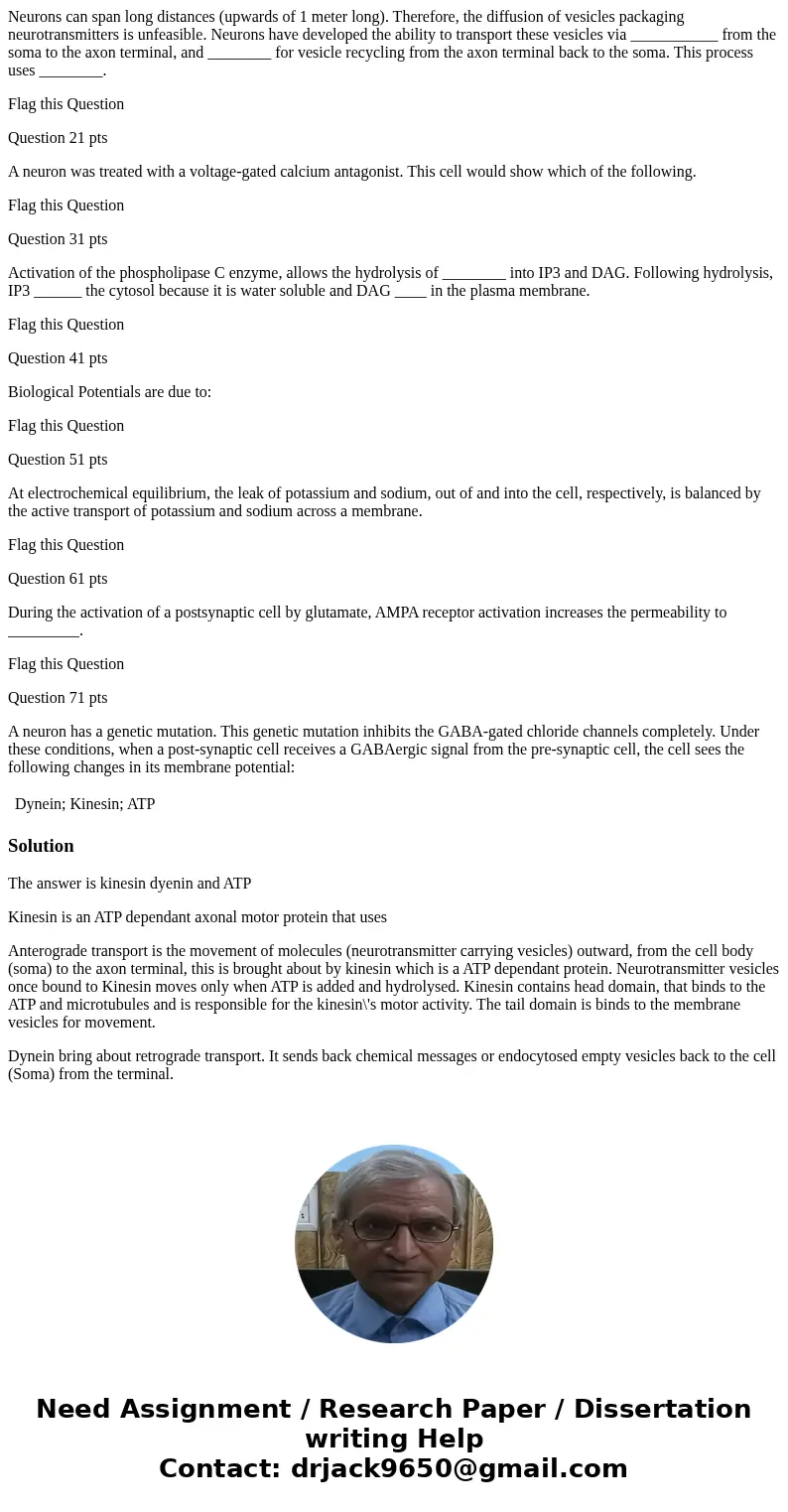Neurons can span long distances (upwards of 1 meter long). Therefore, the diffusion of vesicles packaging neurotransmitters is unfeasible. Neurons have develope Neurons can span long distances (upwards of 1 meter long). Therefore, the diffusion of vesicles packaging neurotransmitters is unfeasible. Neurons have develope