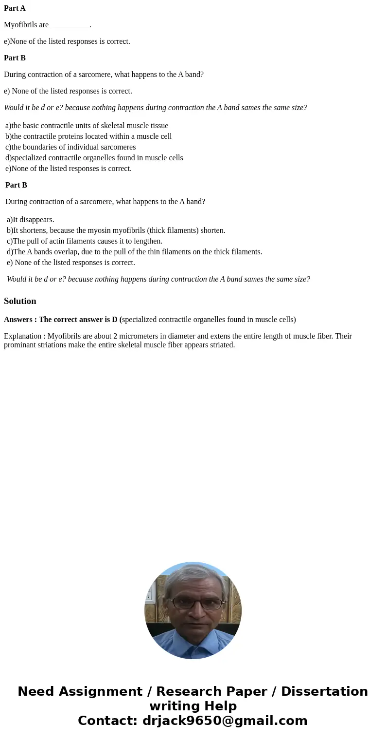 Part A Myofibrils are __________. e)None of the listed responses is correct. Part B During contraction of a sarcomere, what happens to the A band? e) None of th