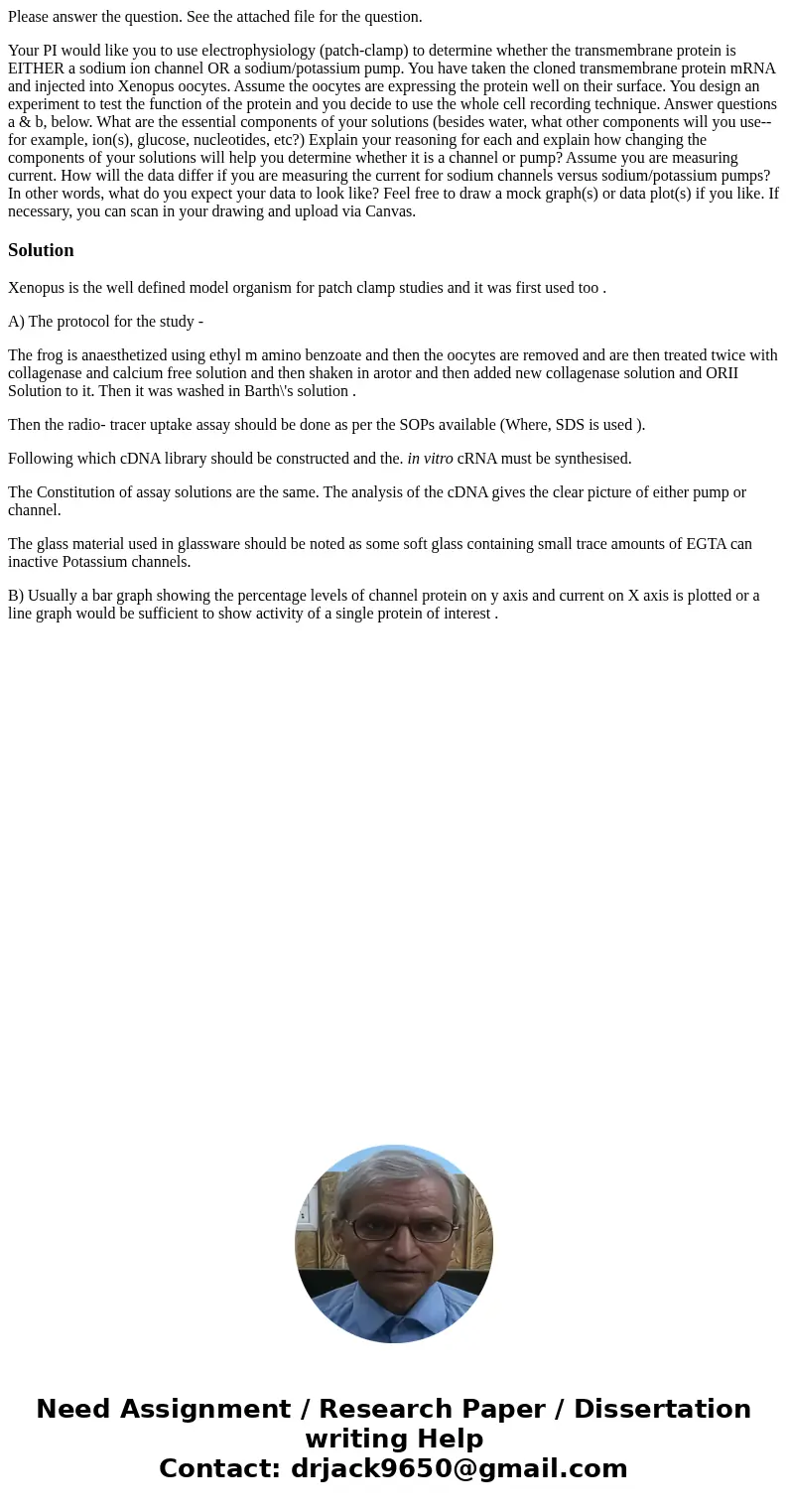 Please answer the question. See the attached file for the question. Your PI would like you to use electrophysiology (patch-clamp) to determine whether the trans Please answer the question. See the attached file for the question. Your PI would like you to use electrophysiology (patch-clamp) to determine whether the trans