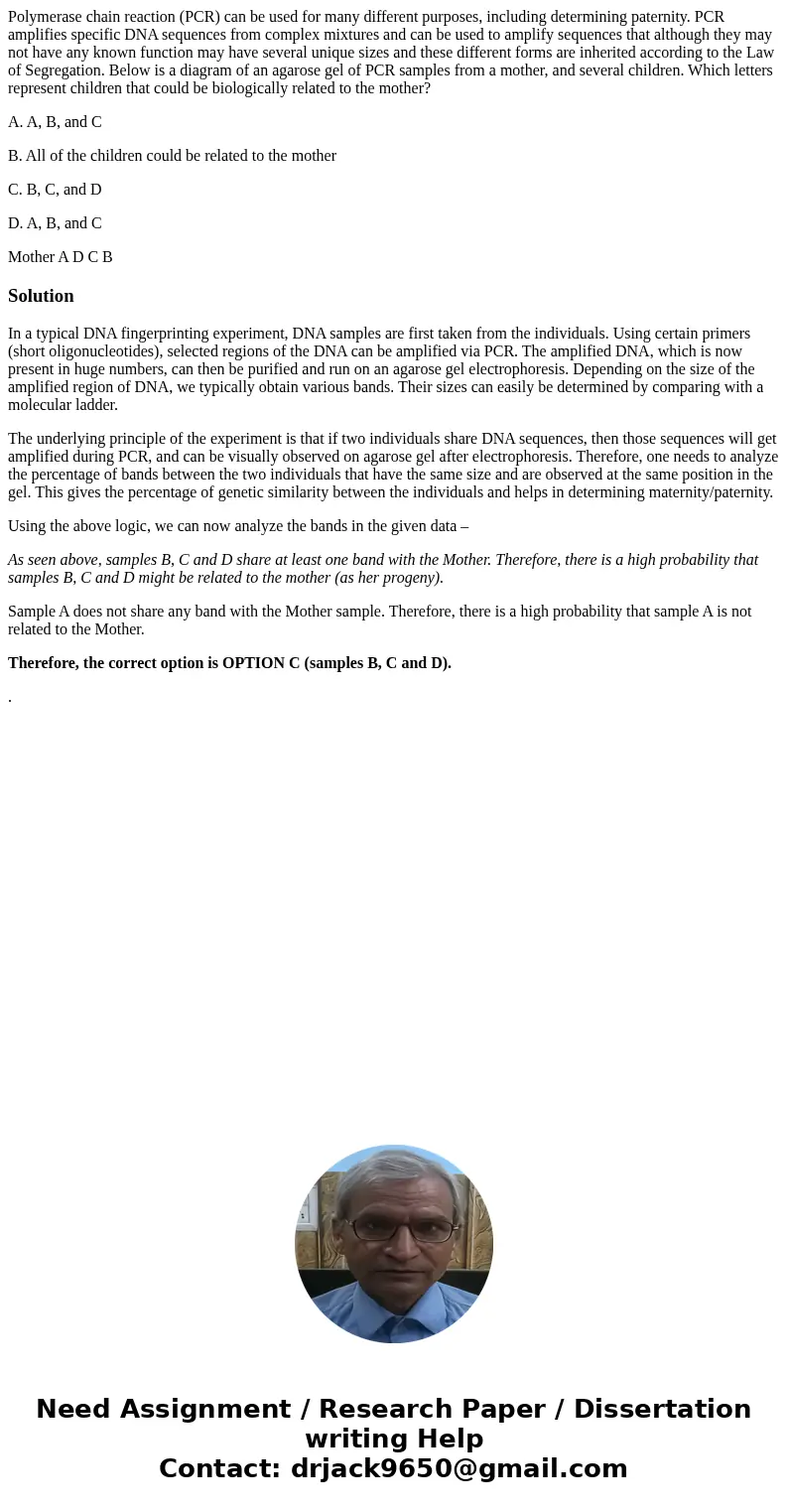 Polymerase chain reaction (PCR) can be used for many different purposes, including determining paternity. PCR amplifies specific DNA sequences from complex mixt Polymerase chain reaction (PCR) can be used for many different purposes, including determining paternity. PCR amplifies specific DNA sequences from complex mixt