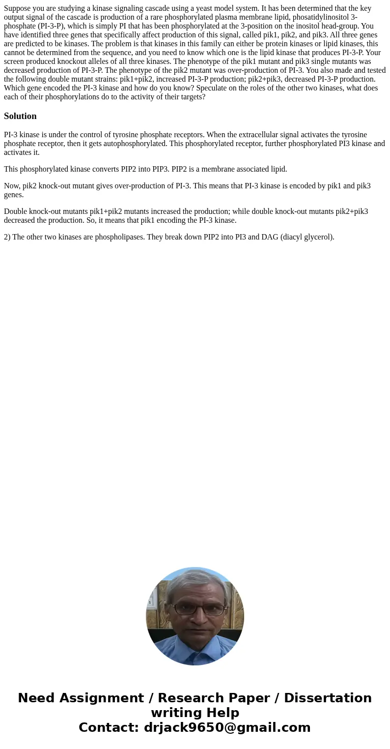 Suppose you are studying a kinase signaling cascade using a yeast model system. It has been determined that the key output signal of the cascade is production   Suppose you are studying a kinase signaling cascade using a yeast model system. It has been determined that the key output signal of the cascade is production