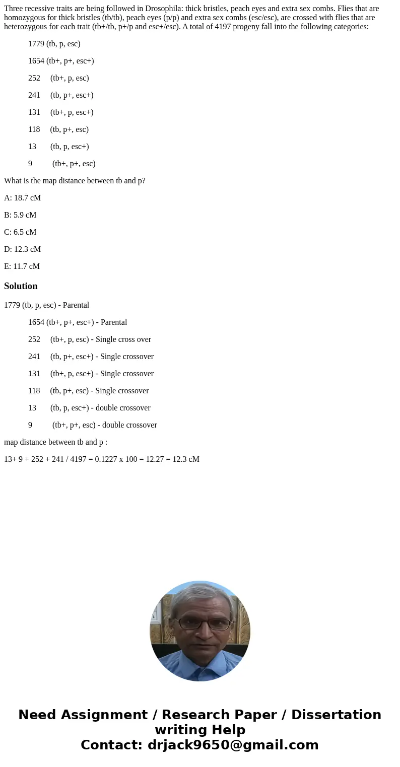 Three recessive traits are being followed in Drosophila: thick bristles, peach eyes and extra sex combs. Flies that are homozygous for thick bristles (tb/tb), p Three recessive traits are being followed in Drosophila: thick bristles, peach eyes and extra sex combs. Flies that are homozygous for thick bristles (tb/tb), p