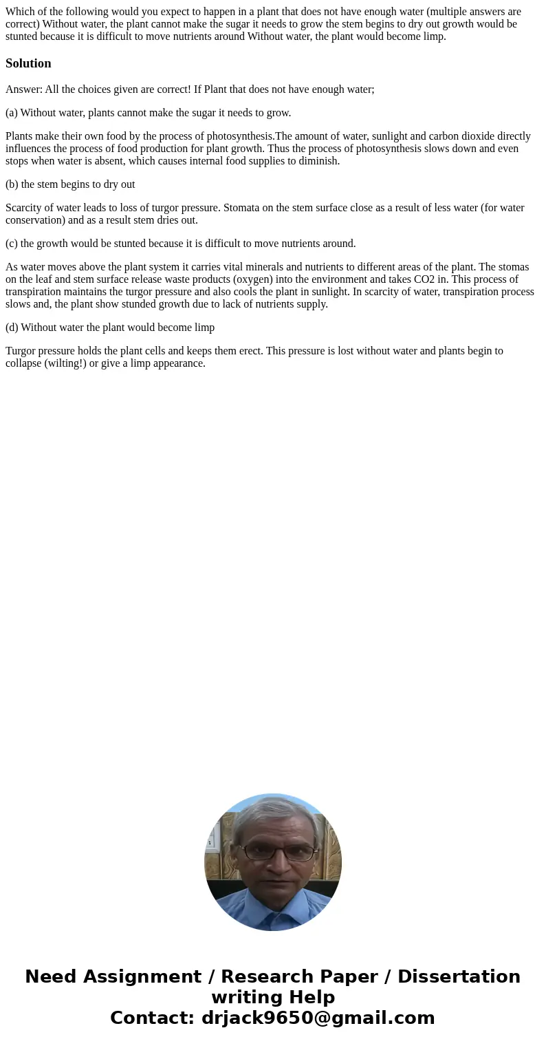 Which of the following would you expect to happen in a plant that does not have enough water (multiple answers are correct) Without water, the plant cannot mak  Which of the following would you expect to happen in a plant that does not have enough water (multiple answers are correct) Without water, the plant cannot mak