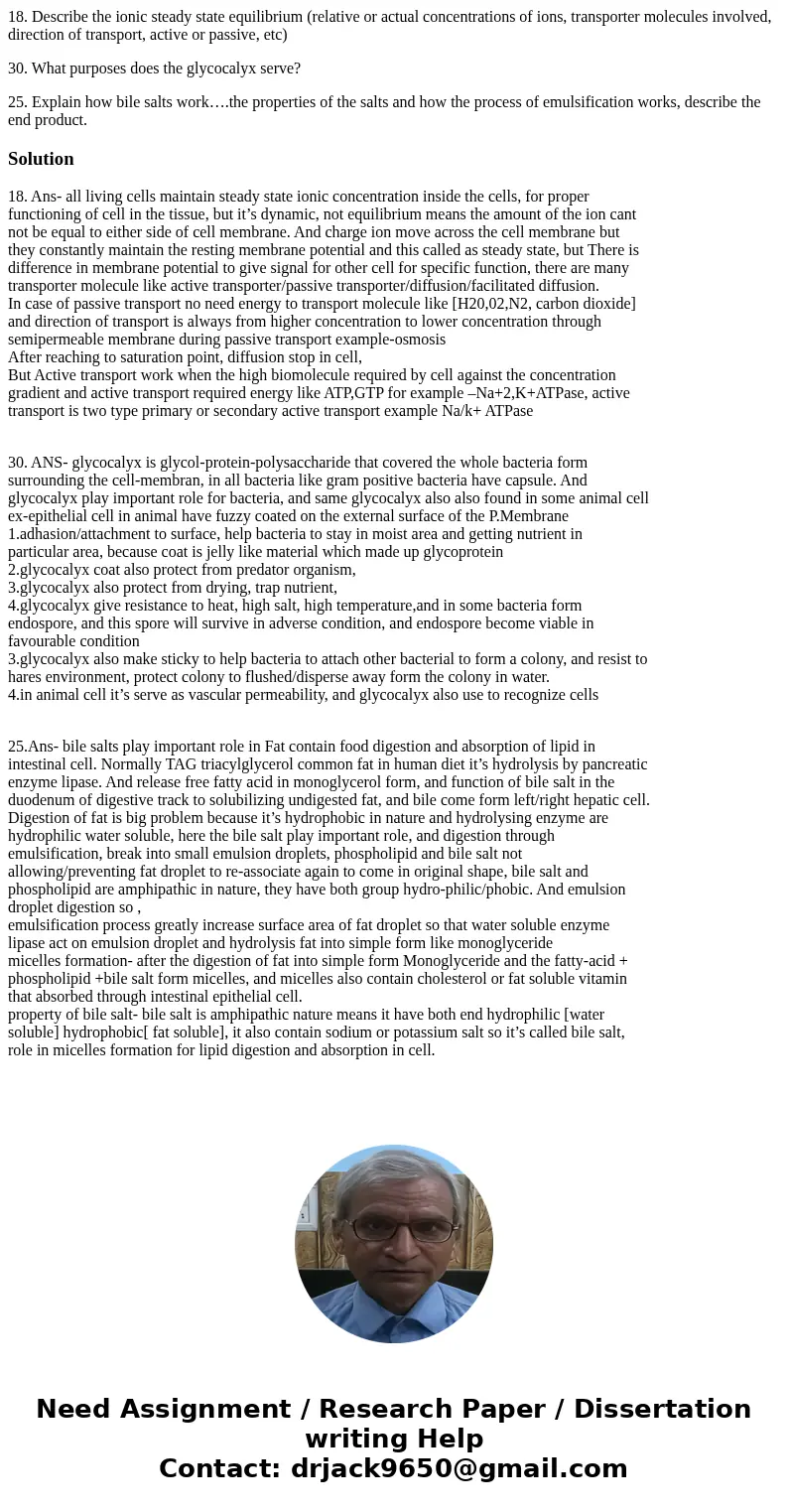 18. Describe the ionic steady state equilibrium (relative or actual concentrations of ions, transporter molecules involved, direction of transport, active or pa 18. Describe the ionic steady state equilibrium (relative or actual concentrations of ions, transporter molecules involved, direction of transport, active or pa