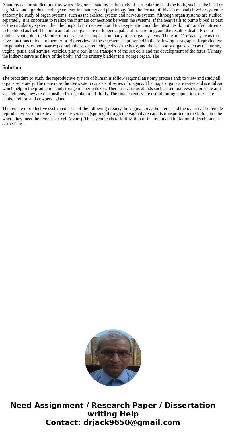  Anatomy can be studied in many ways. Regional anatomy is the study of particular areas of the body, such as the head or leg. Most undergraduate college courses