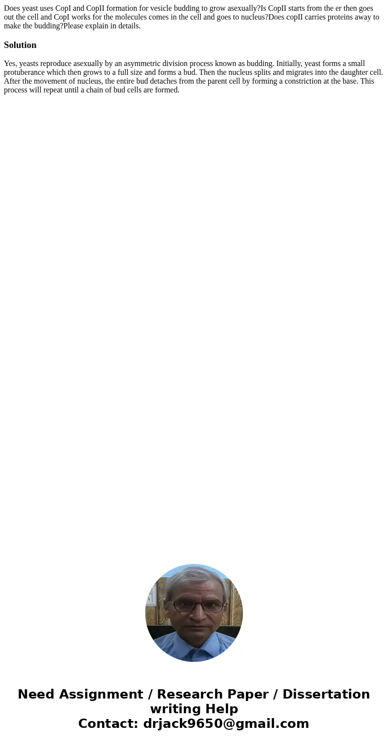 Does yeast uses CopI and CopII formation for vesicle budding to grow asexually?Is CopII starts from the er then goes out the cell and CopI works for the molecul Does yeast uses CopI and CopII formation for vesicle budding to grow asexually?Is CopII starts from the er then goes out the cell and CopI works for the molecul