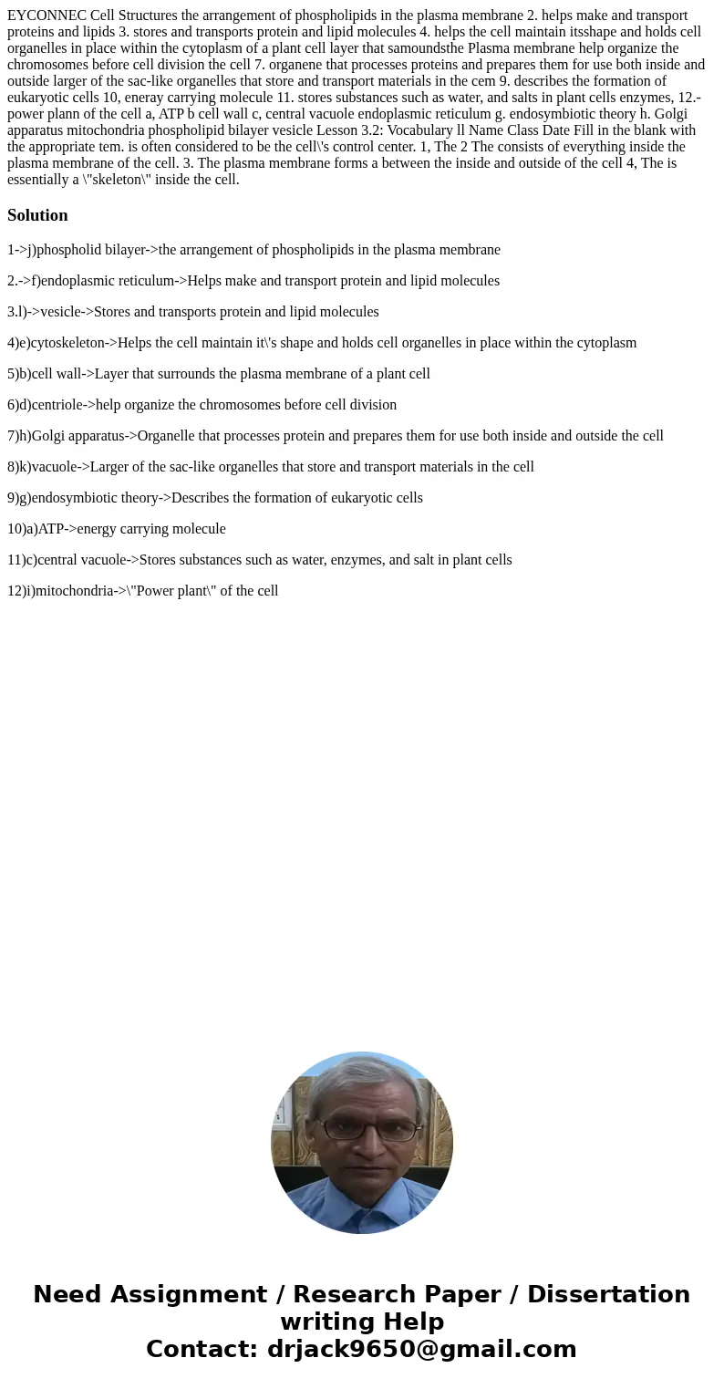  EYCONNEC Cell Structures the arrangement of phospholipids in the plasma membrane 2. helps make and transport proteins and lipids 3. stores and transports prote