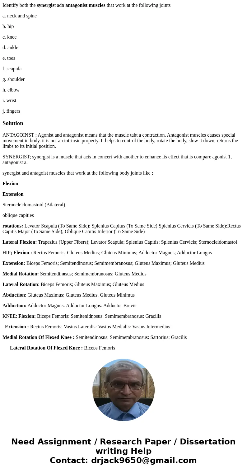 Identify both the synergist adn antagonist muscles that work at the following joints a. neck and spine b. hip c. knee d. ankle e. toes f. scapula g. shoulder h. Identify both the synergist adn antagonist muscles that work at the following joints a. neck and spine b. hip c. knee d. ankle e. toes f. scapula g. shoulder h.