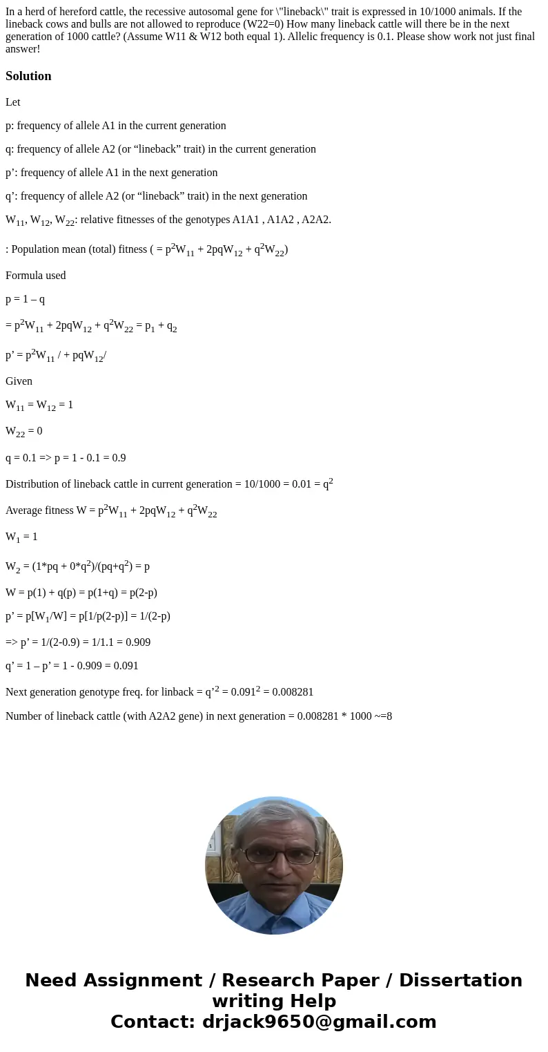 In a herd of hereford cattle, the recessive autosomal gene for \ In a herd of hereford cattle, the recessive autosomal gene for \