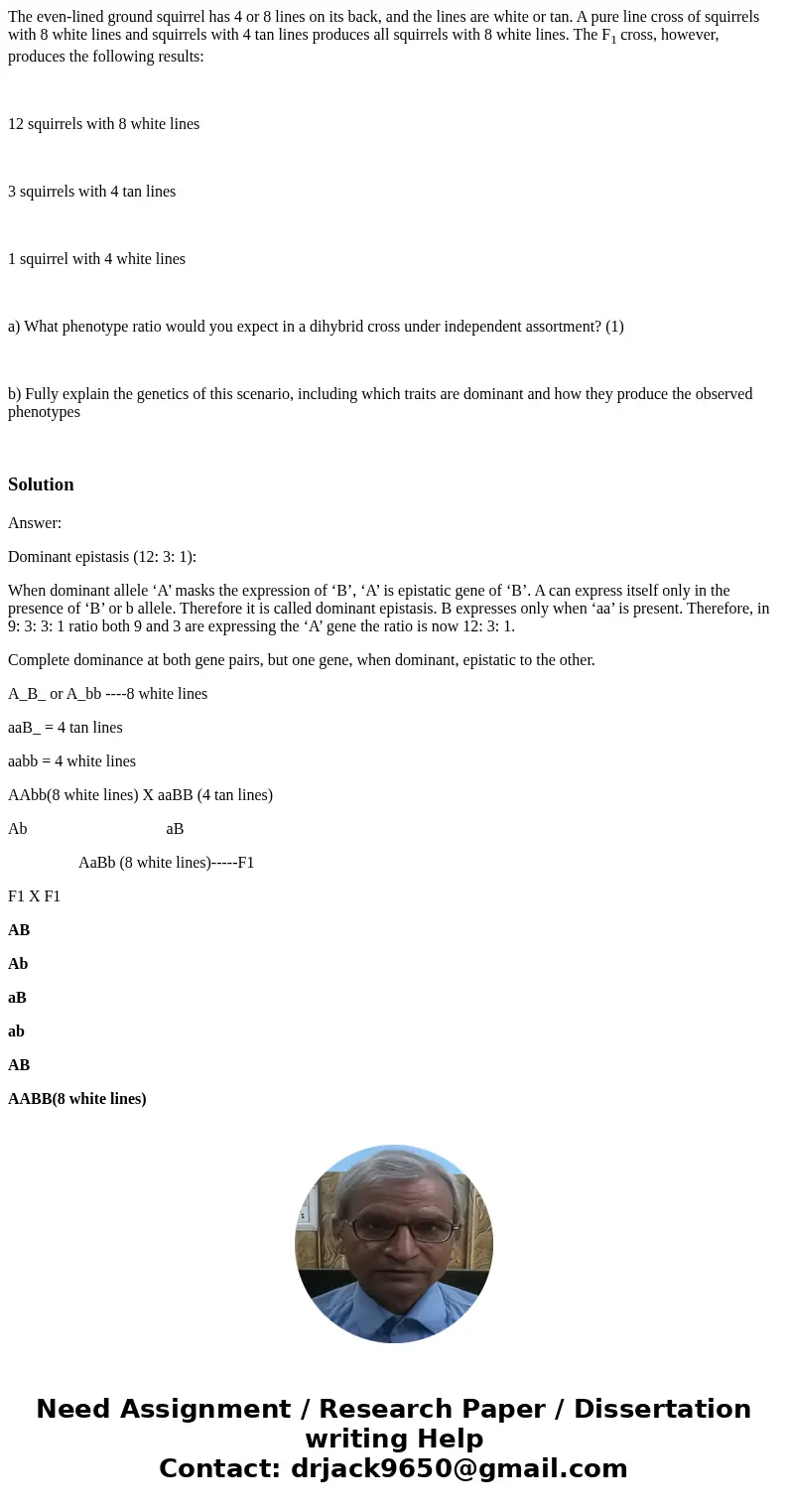 The even-lined ground squirrel has 4 or 8 lines on its back, and the lines are white or tan. A pure line cross of squirrels with 8 white lines and squirrels wit The even-lined ground squirrel has 4 or 8 lines on its back, and the lines are white or tan. A pure line cross of squirrels with 8 white lines and squirrels wit