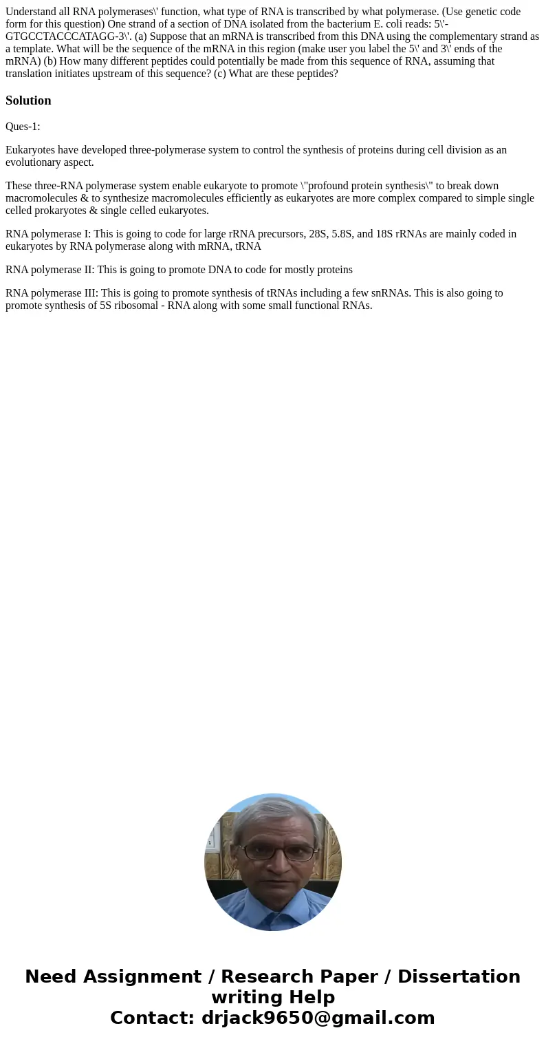 Understand all RNA polymerases\' function, what type of RNA is transcribed by what polymerase. (Use genetic code form for this question) One strand of a sectio  Understand all RNA polymerases\' function, what type of RNA is transcribed by what polymerase. (Use genetic code form for this question) One strand of a sectio