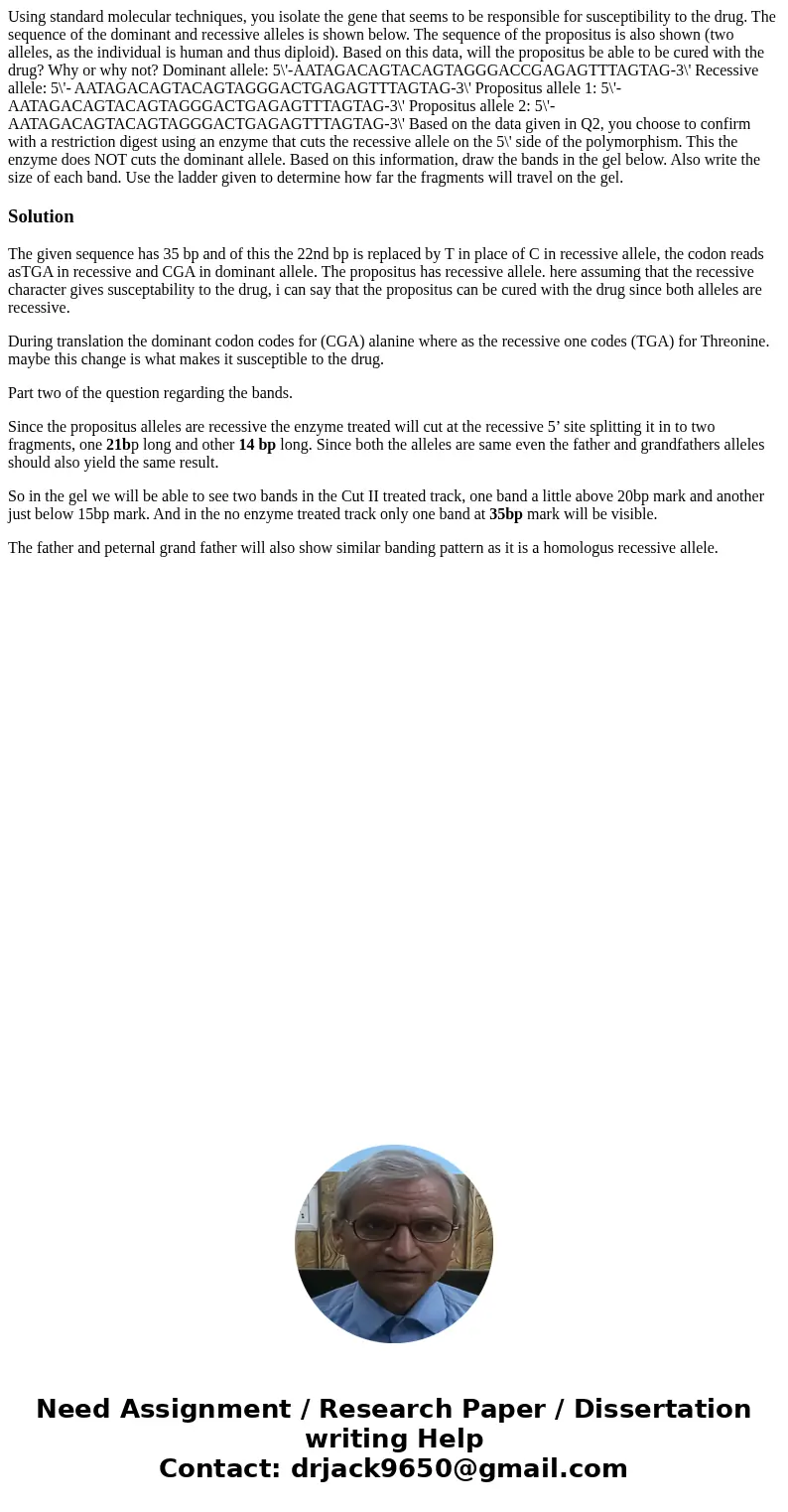  Using standard molecular techniques, you isolate the gene that seems to be responsible for susceptibility to the drug. The sequence of the dominant and recessi