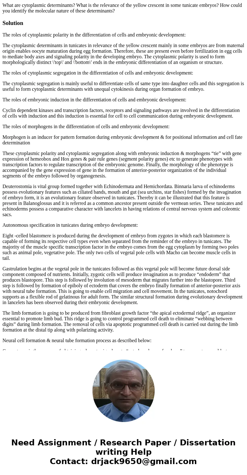 What are cytoplasmic determinants? What is the relevance of the yellow crescent in some tunicate embryos? How could you identify the molecular nature of these d What are cytoplasmic determinants? What is the relevance of the yellow crescent in some tunicate embryos? How could you identify the molecular nature of these d