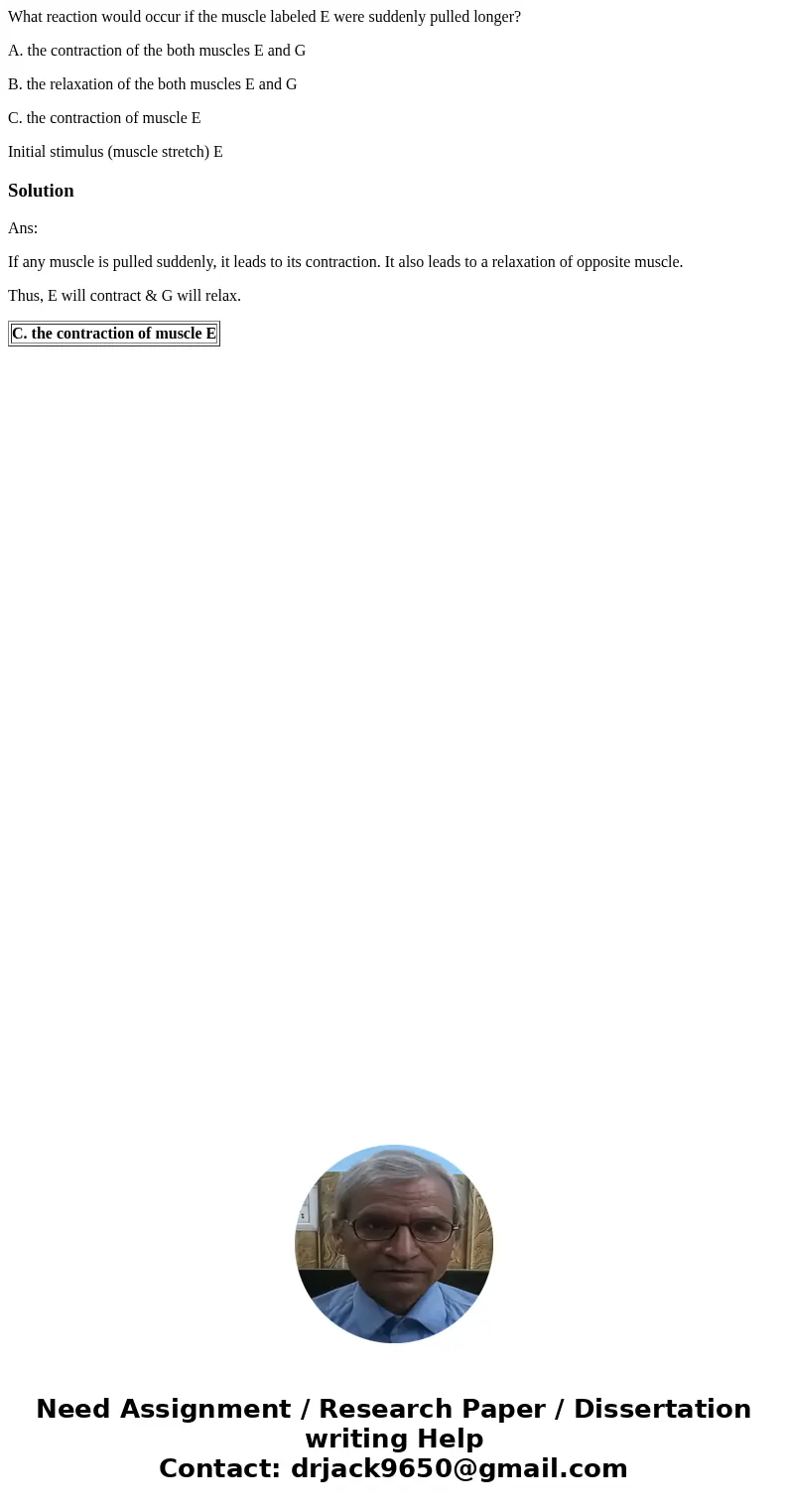 What reaction would occur if the muscle labeled E were suddenly pulled longer? A. the contraction of the both muscles E and G B. the relaxation of the both musc What reaction would occur if the muscle labeled E were suddenly pulled longer? A. the contraction of the both muscles E and G B. the relaxation of the both musc