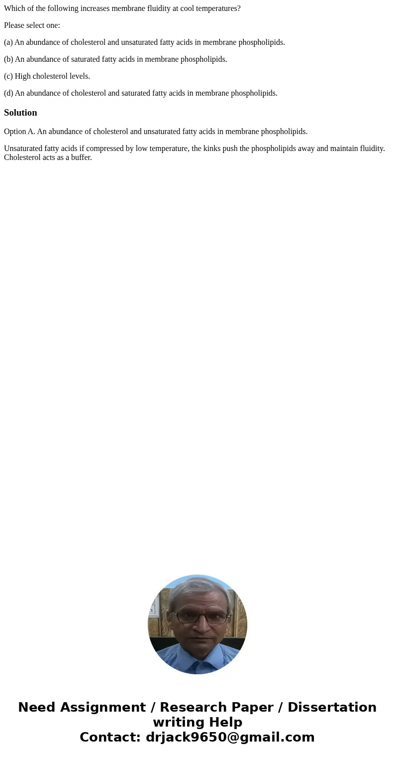 Which of the following increases membrane fluidity at cool temperatures? Please select one: (a) An abundance of cholesterol and unsaturated fatty acids in membr Which of the following increases membrane fluidity at cool temperatures? Please select one: (a) An abundance of cholesterol and unsaturated fatty acids in membr