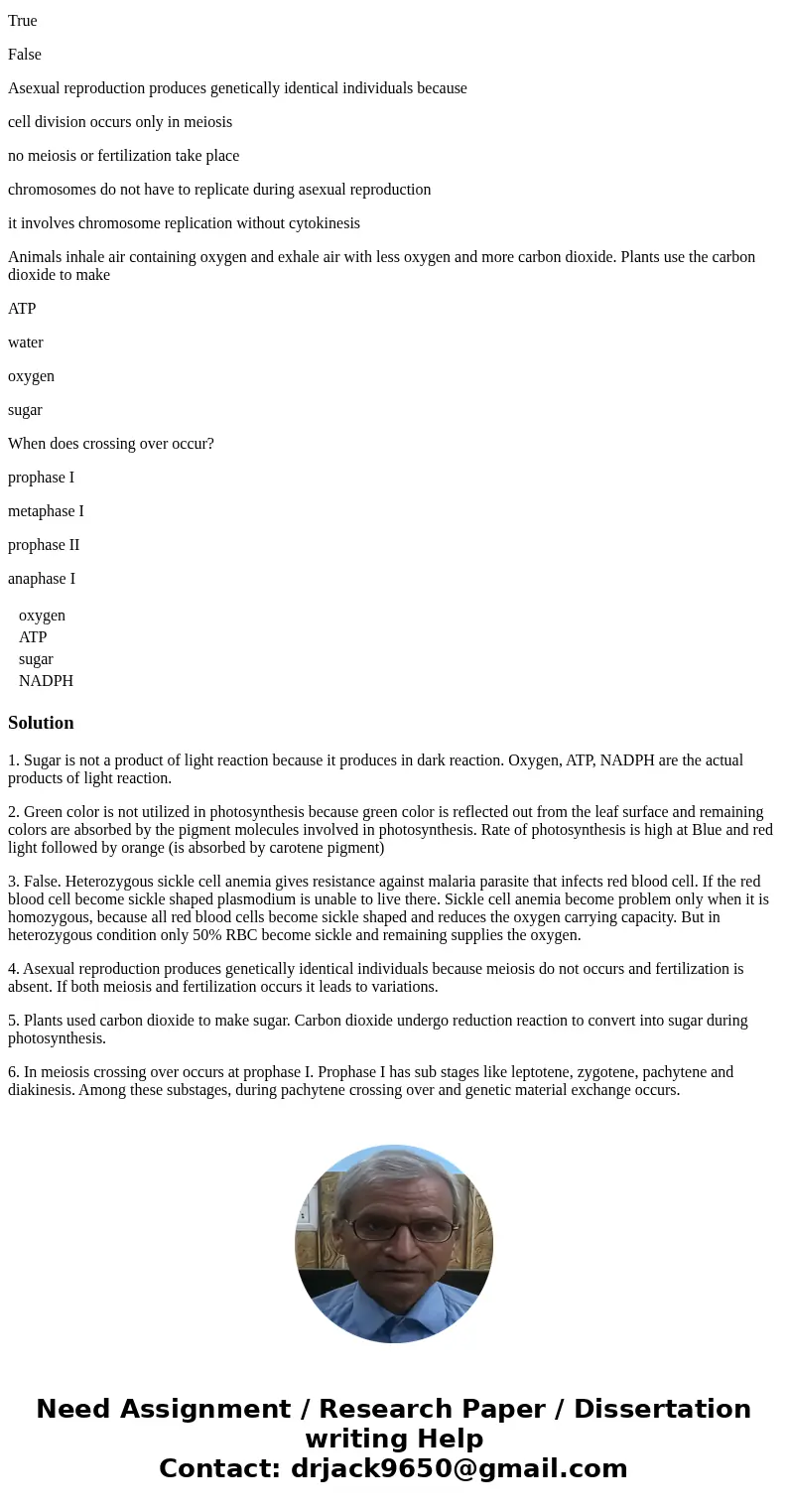 Which of the following is not a product of the light reactions of photosynthesis? oxygen ATP sugar NADPH All of the following colors of light are used for photo Which of the following is not a product of the light reactions of photosynthesis? oxygen ATP sugar NADPH All of the following colors of light are used for photo