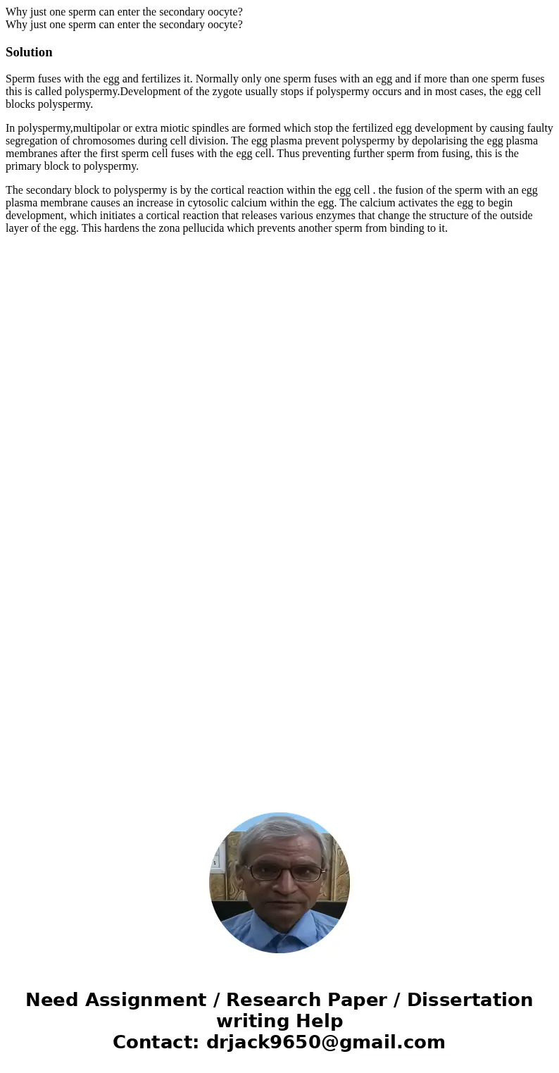 Why just one sperm can enter the secondary oocyte? Why just one sperm can enter the secondary oocyte?SolutionSperm fuses with the egg and fertilizes it. Normall Why just one sperm can enter the secondary oocyte? Why just one sperm can enter the secondary oocyte?SolutionSperm fuses with the egg and fertilizes it. Normall